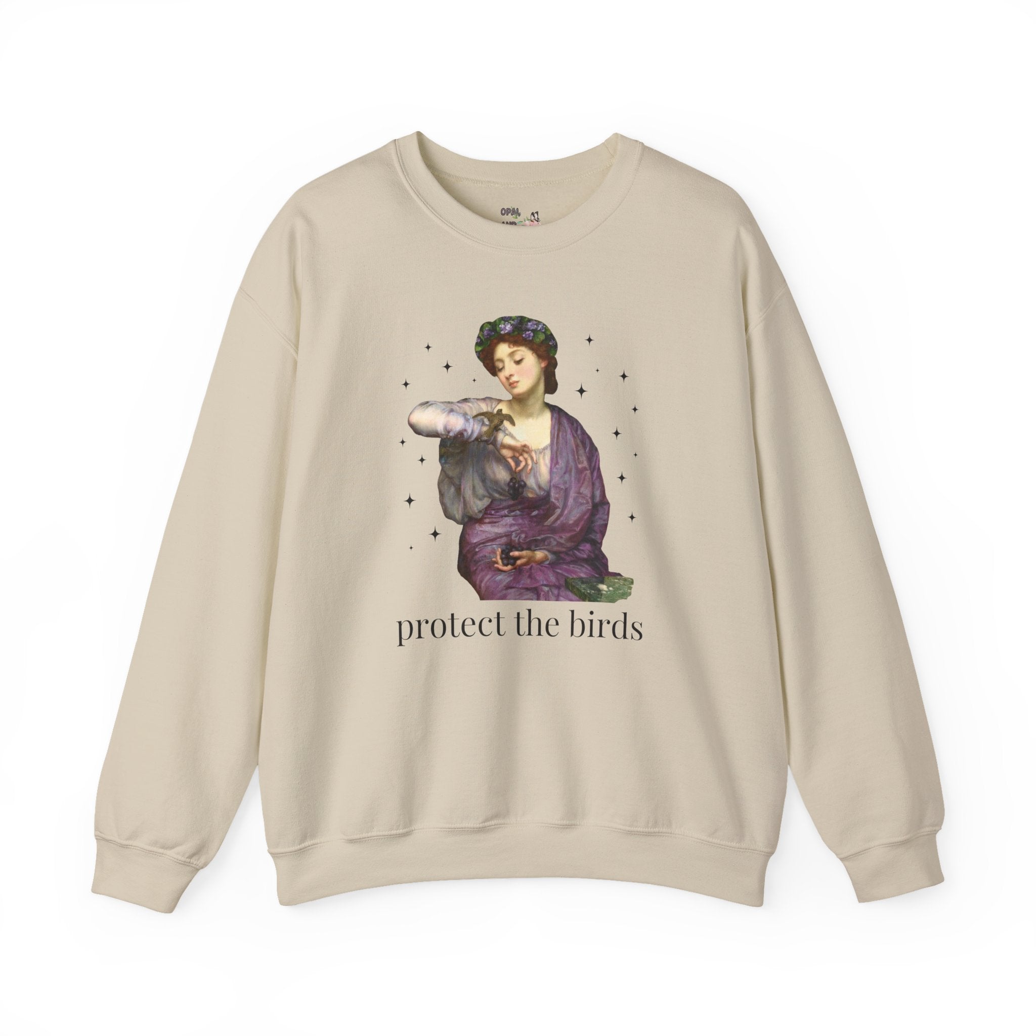 Protect the Birds Art History Sweatshirt with Famous Painting: Bird Conservation Ornithologist Biology Major or Teacher Gift, Bird Lover Crewneck