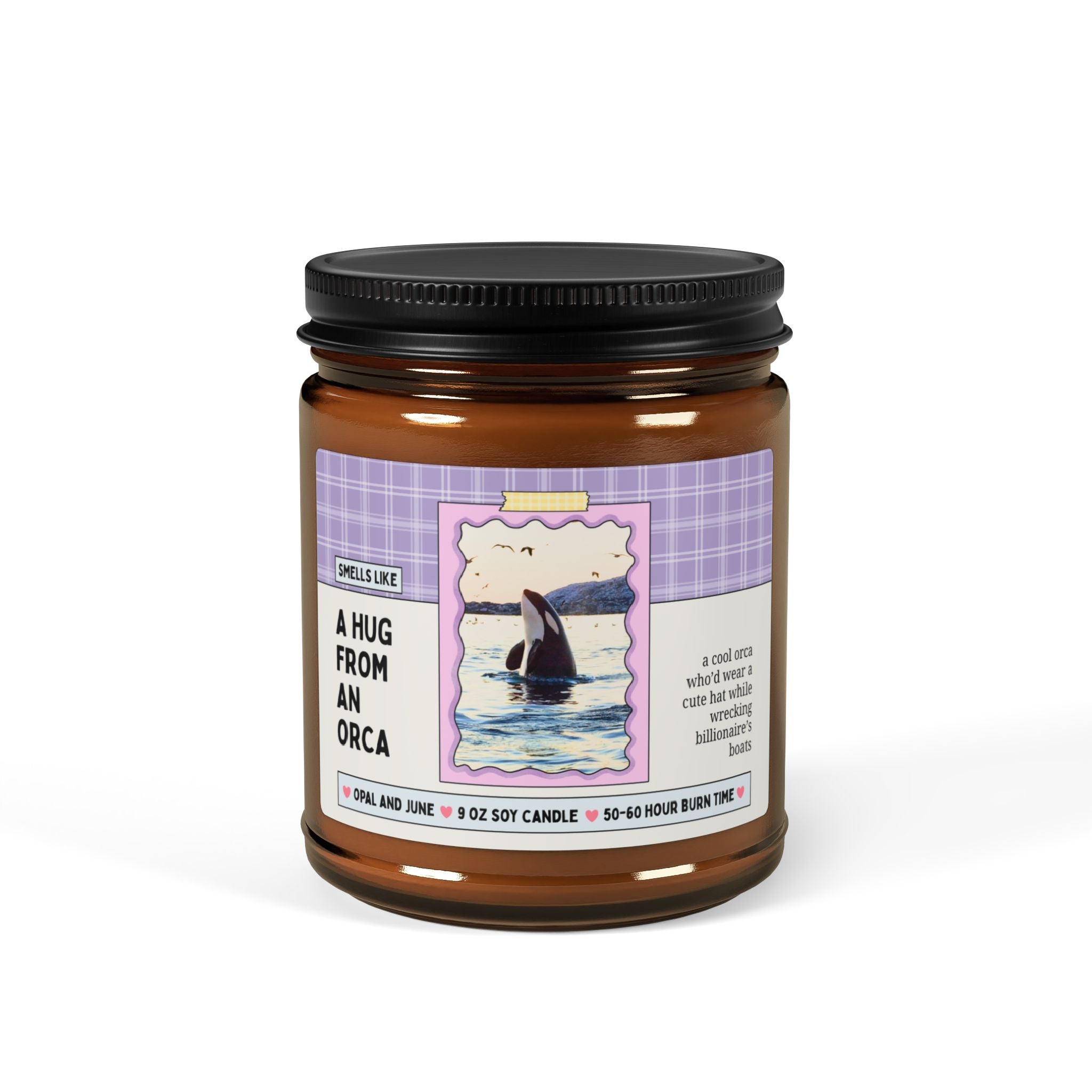 Smells Like a Hug from an Orca: 9 Oz Soy Candle for Friend Who Loves Whales, Democratic Socialist Anti-Billionaire Candle with Whale
