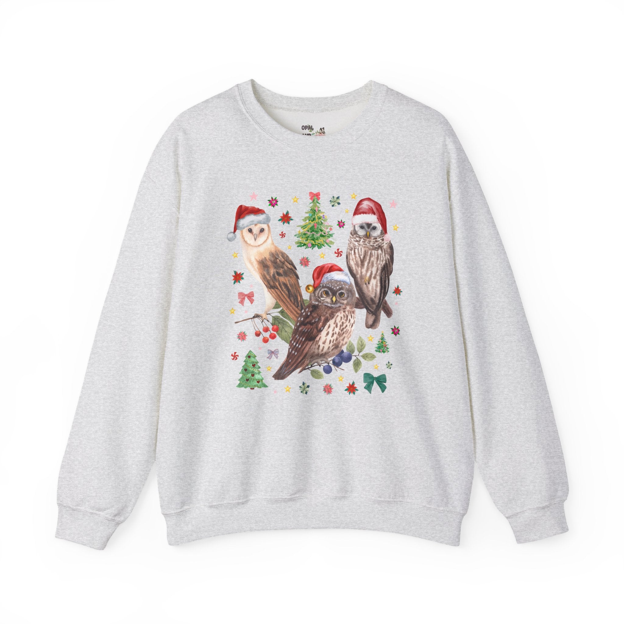 Christmas Owl Animal Lover Sweatshirt with Owls Wearing Santa Hats, Funny Nostalgic 90s Aesthetic Maximalist Crewneck, Bird Lover or Birdwatcher