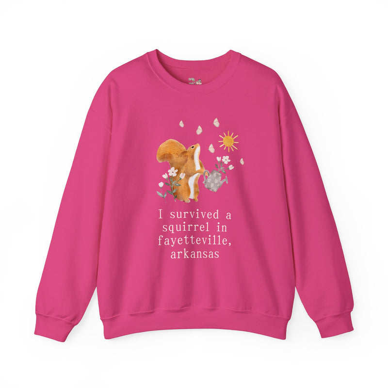 Funny Squirrel Sweatshirt: Fayetteville