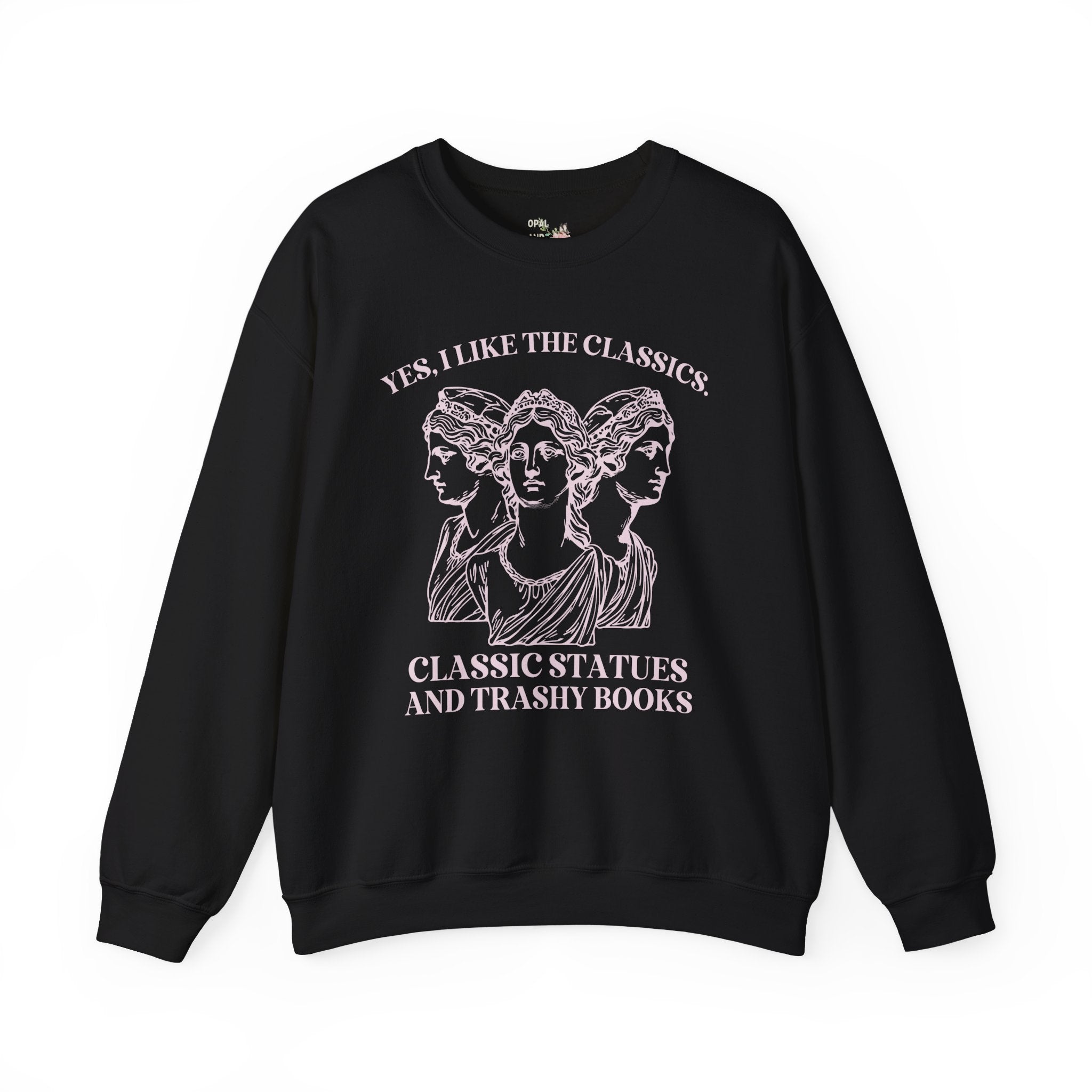 Funny Book Lover Gift Idea for Friend Who Loves Classic Statues and Trashy Books, Silly Bookworm Shirt for Library, Romance Reader Sweatshirt