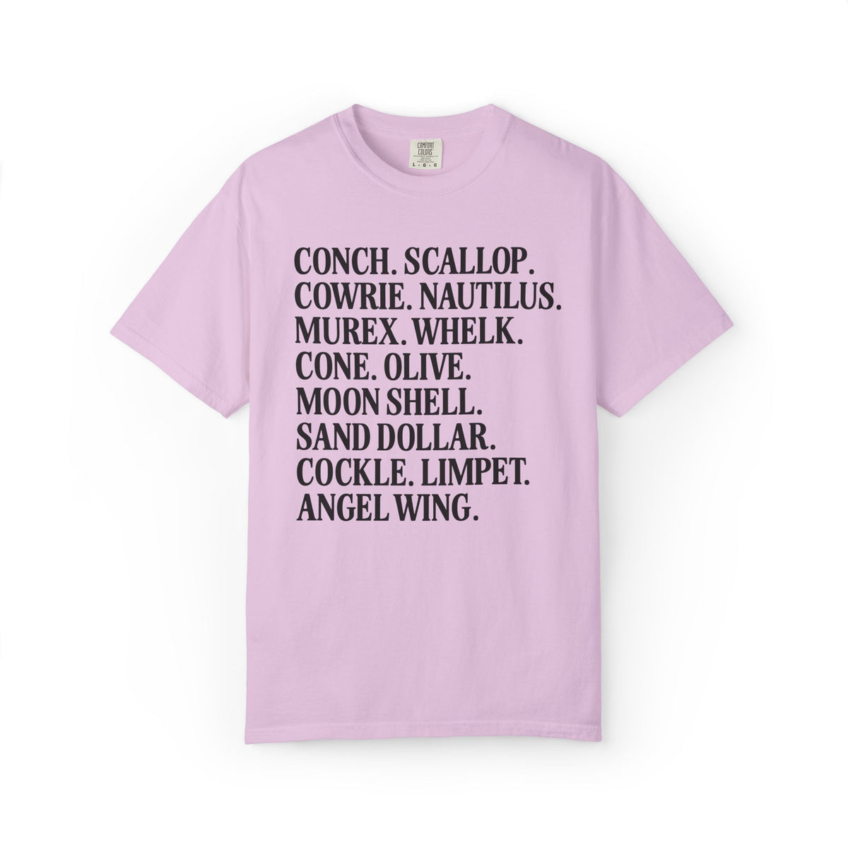 Seashell Name List