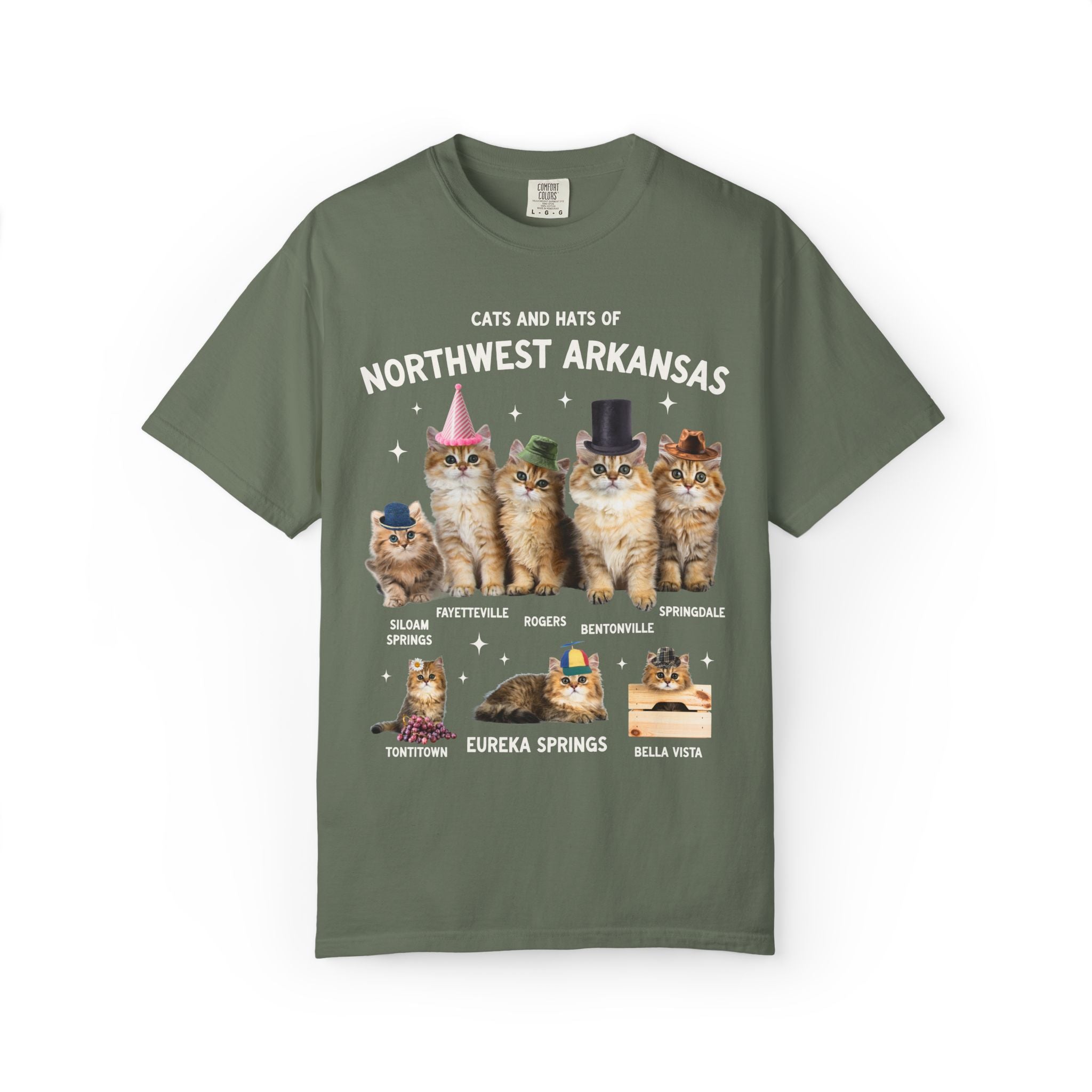 Cats and Hats of Northwest Arkansas: Funny Dreamcore Cat T-Shirt for Friend Living in Northwest Arkansas, Fayetteville Bentonville Rogers Eureka Springs Tee
