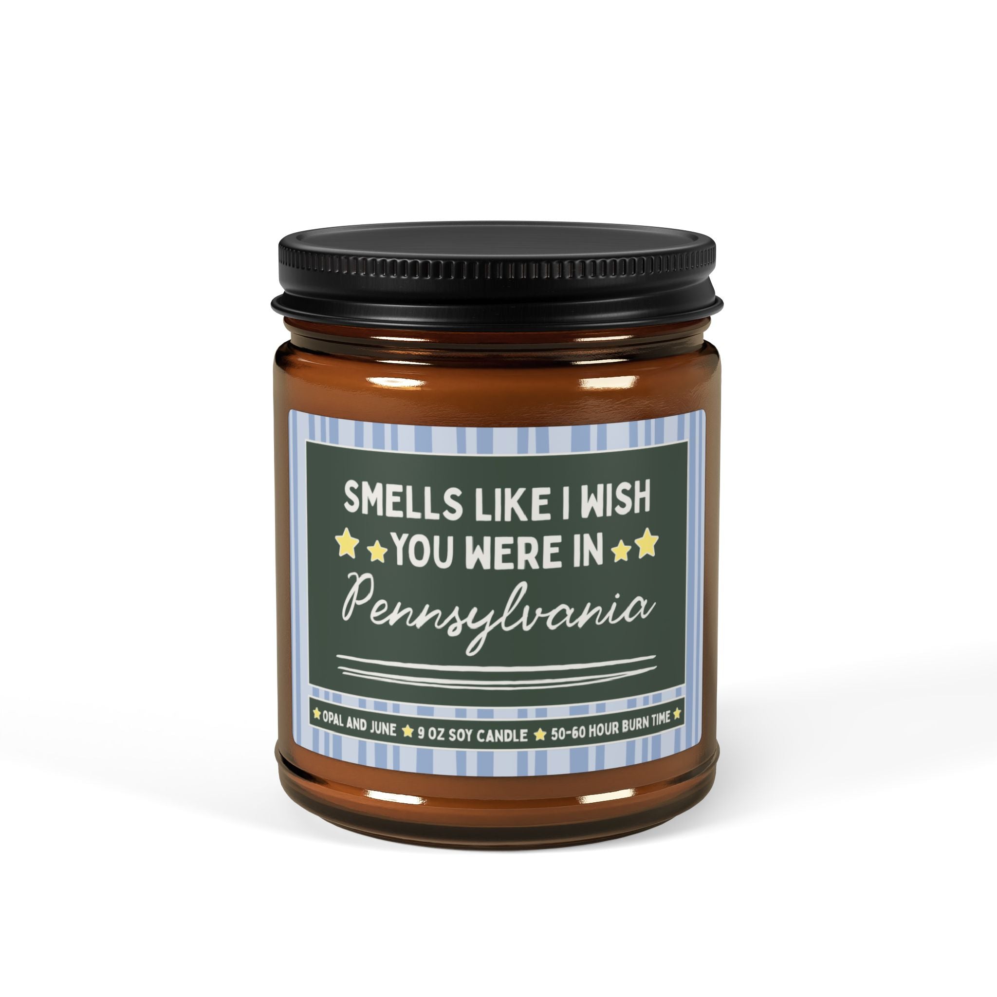 Smells Like I Wish You Were in Pennsylvania: 9 Oz Candle for Friend or Family Member Moving from Pennsylvania, Long Distance Relationship