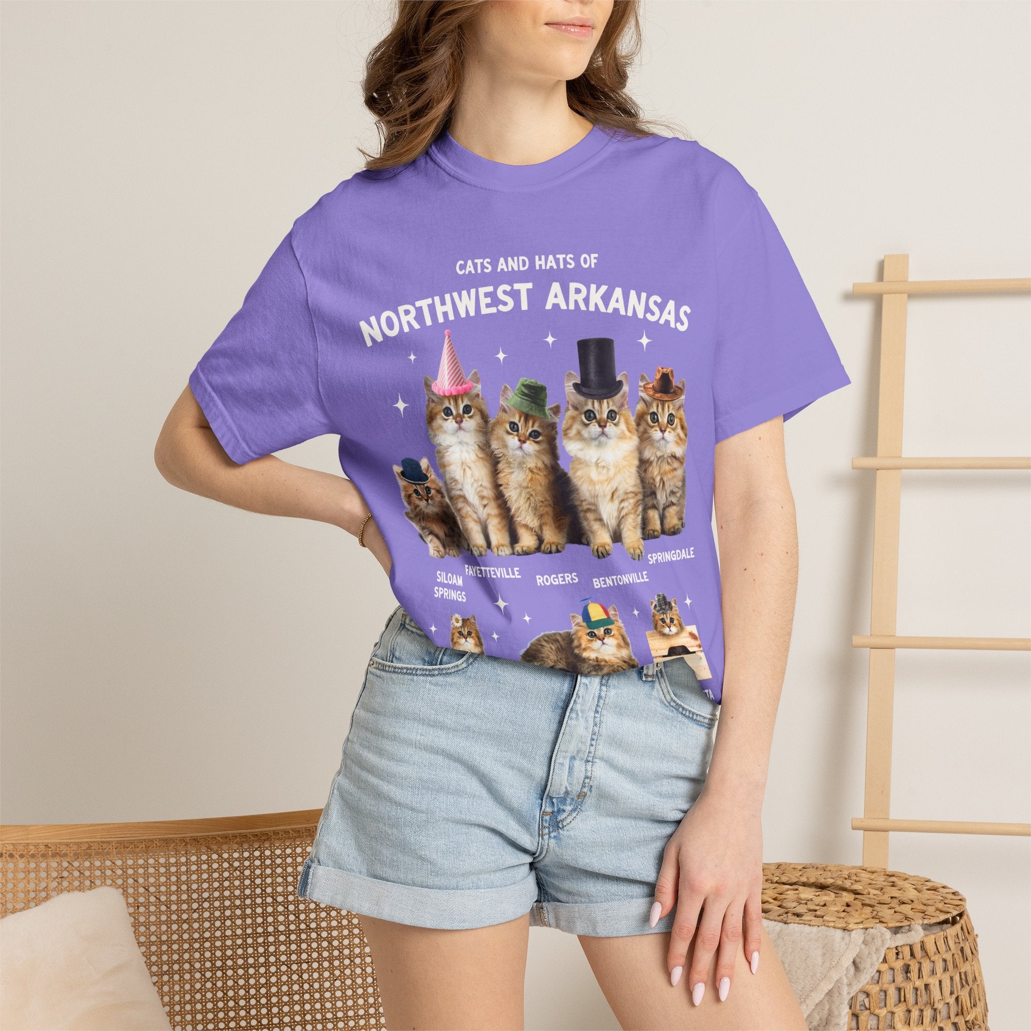 Cats and Hats of Northwest Arkansas: Funny Dreamcore Cat T-Shirt for Friend Living in Northwest Arkansas, Fayetteville Bentonville Rogers Eureka Springs Tee