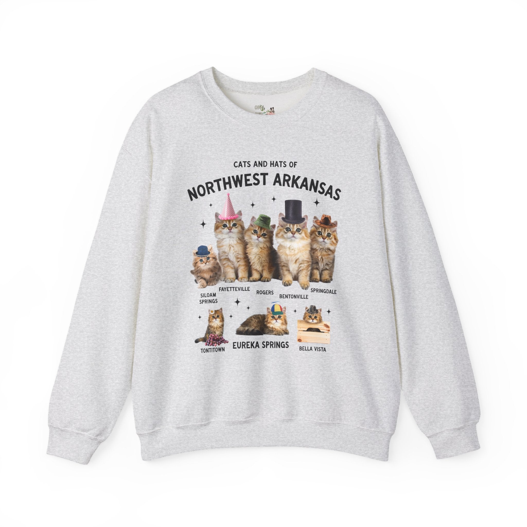 Cats and Hats of Northwest Arkansas: Funny Dreamcore Cat Sweatshirt for Friend Living in Northwest Arkansas, Fayetteville Bentonville Rogers Eureka Springs Crewneck