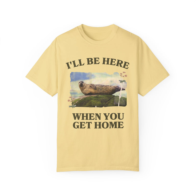 Funny and Cozy Shirt for Cool Homebody