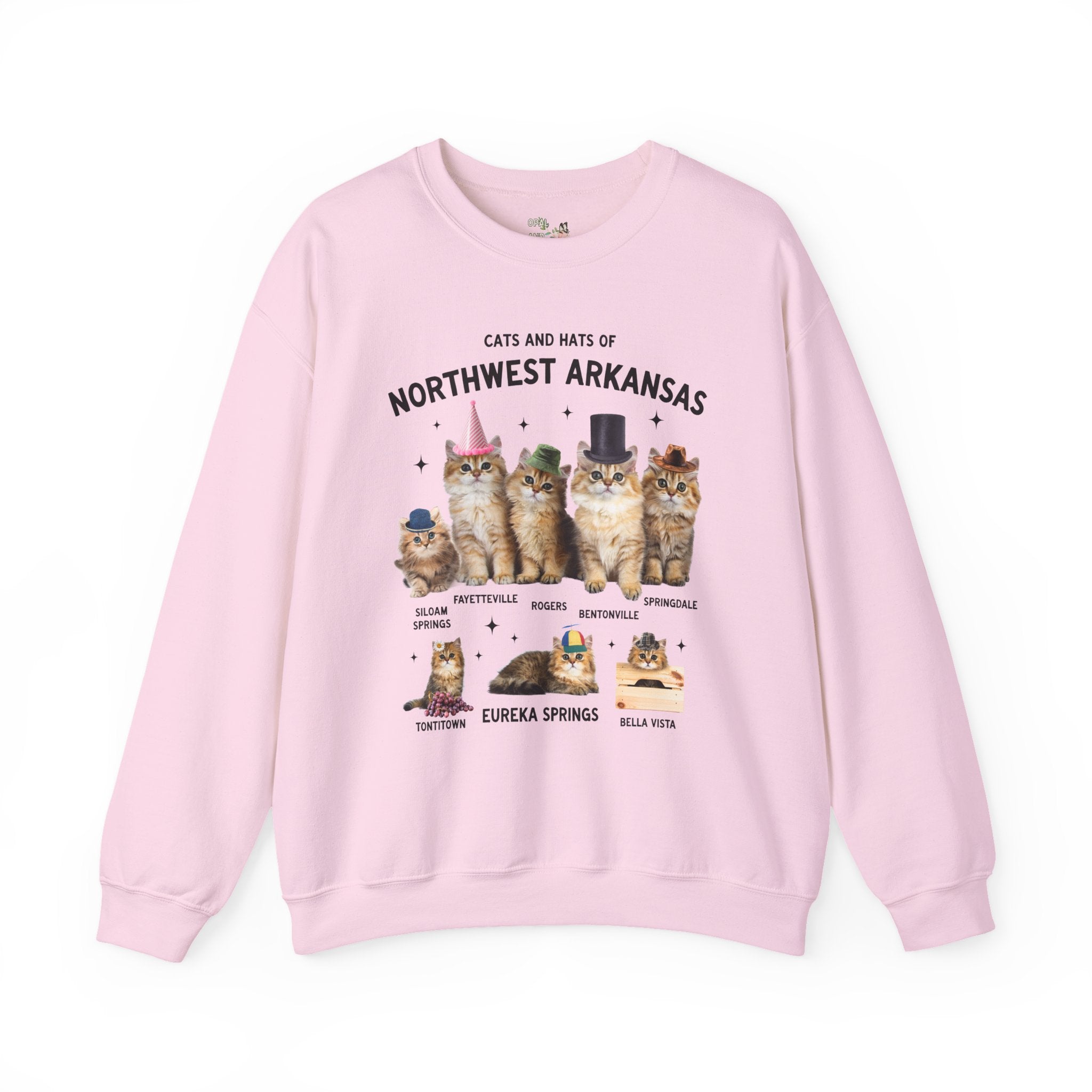 Cats and Hats of Northwest Arkansas: Funny Dreamcore Cat Sweatshirt for Friend Living in Northwest Arkansas, Fayetteville Bentonville Rogers Eureka Springs Crewneck