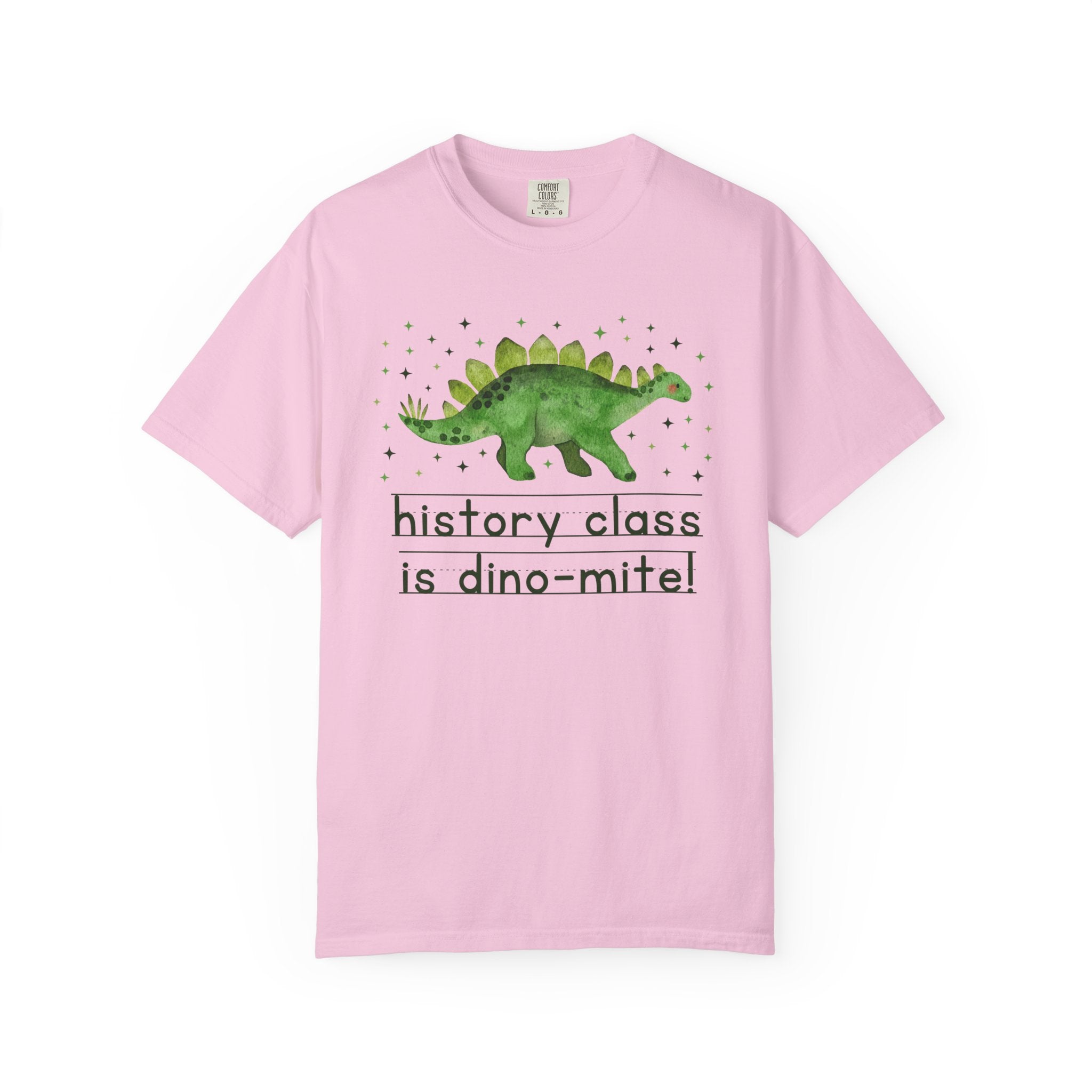 Dinosaur History Teacher Tee