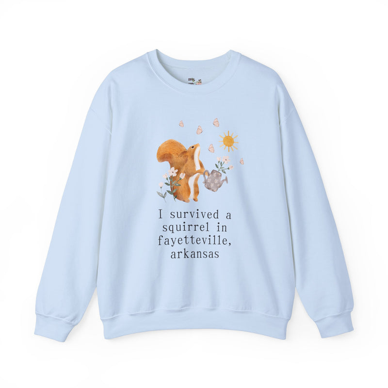 Funny Squirrel Sweatshirt: Fayetteville