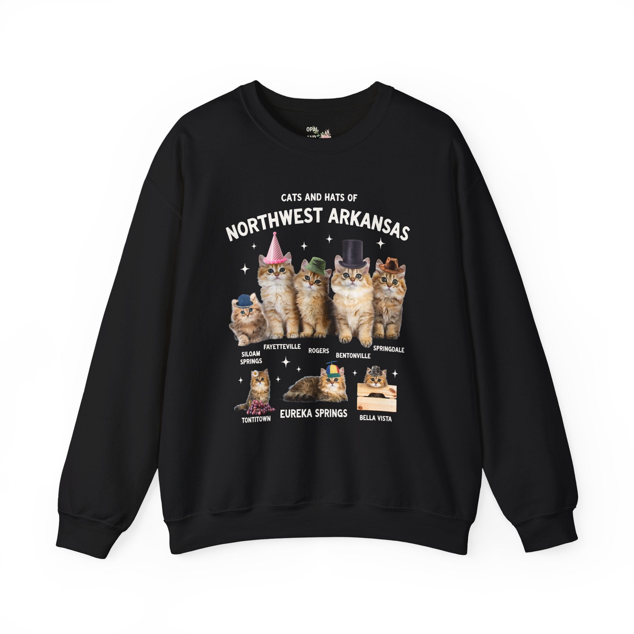 Cats and Hats of Northwest Arkansas: Funny Dreamcore Cat Sweatshirt for Friend Living in Northwest Arkansas, Fayetteville Bentonville Rogers Eureka Springs Crewneck