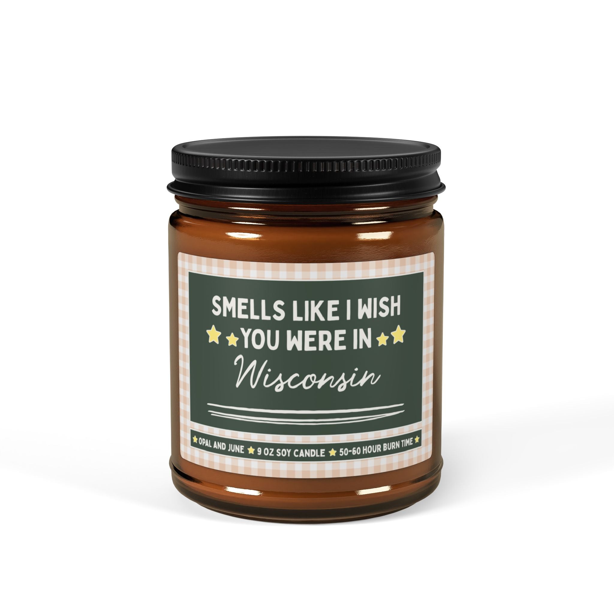 Smells Like I Wish You Were in Wisconsin: 9 Oz Candle for Friend or Family Member Moving from Wisconsin, Long Distance Relationship Gift