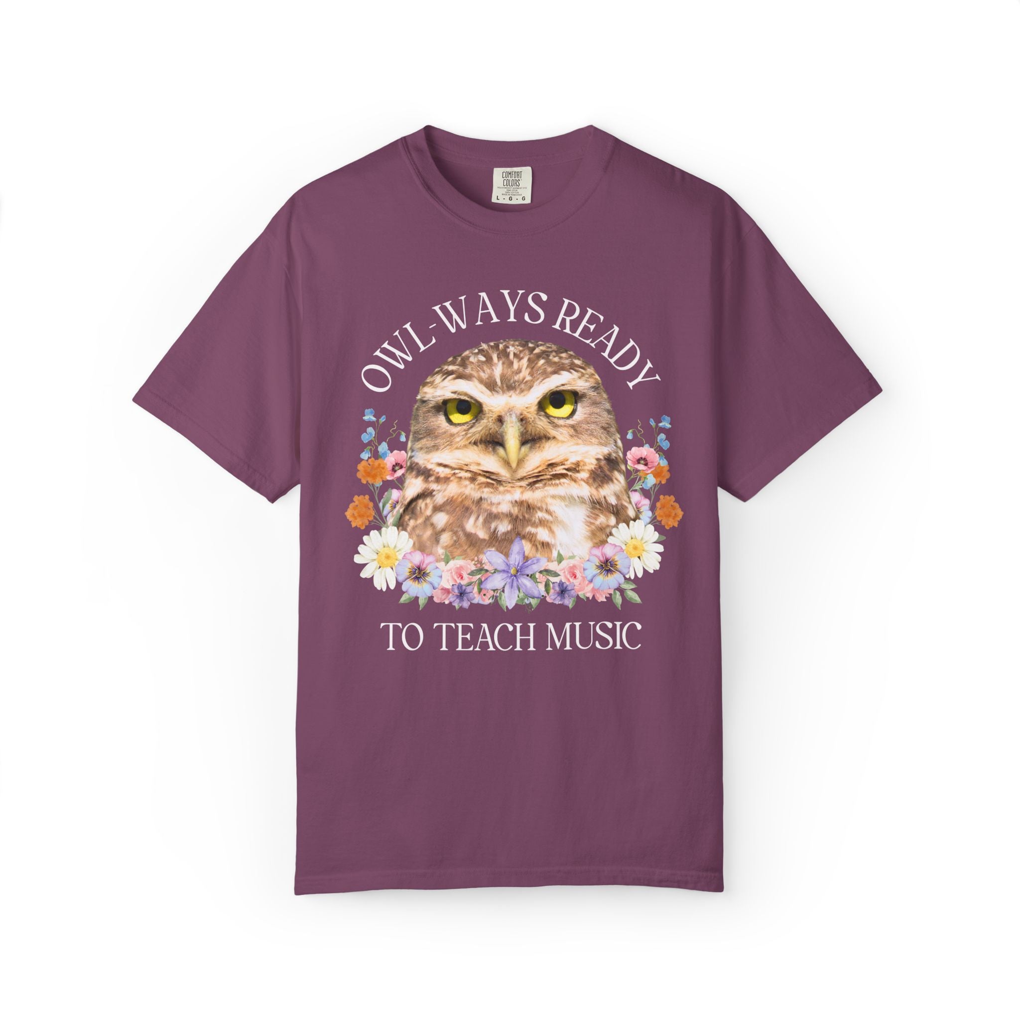 Owl High School Matching Teacher T-Shirt for School Office Staff, Funny Animal Lover T-Shirt for School Administration or Middle School Math