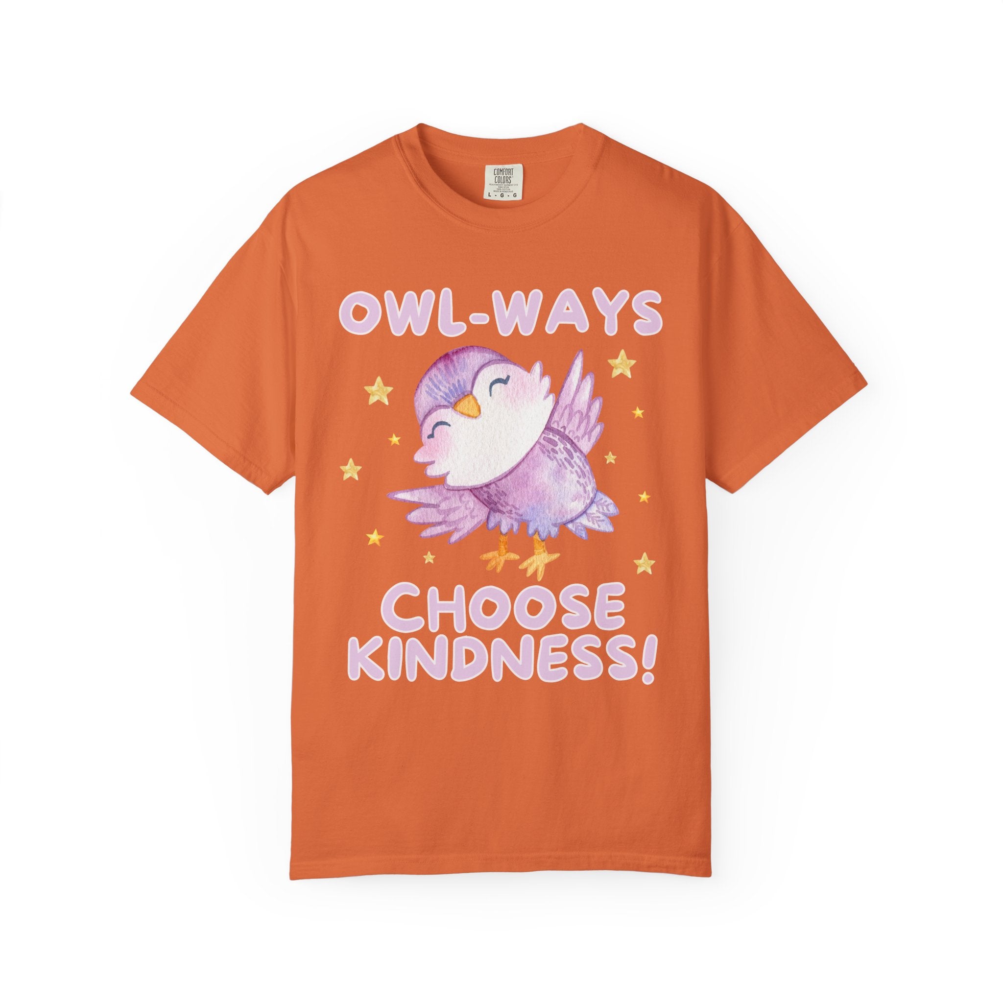 Cute School Teacher or School Librarian Tee Shirt for Friend Who Loves Owls: Owl-Ways Choose Kindness! Positive Affirmation Tee for Teacher