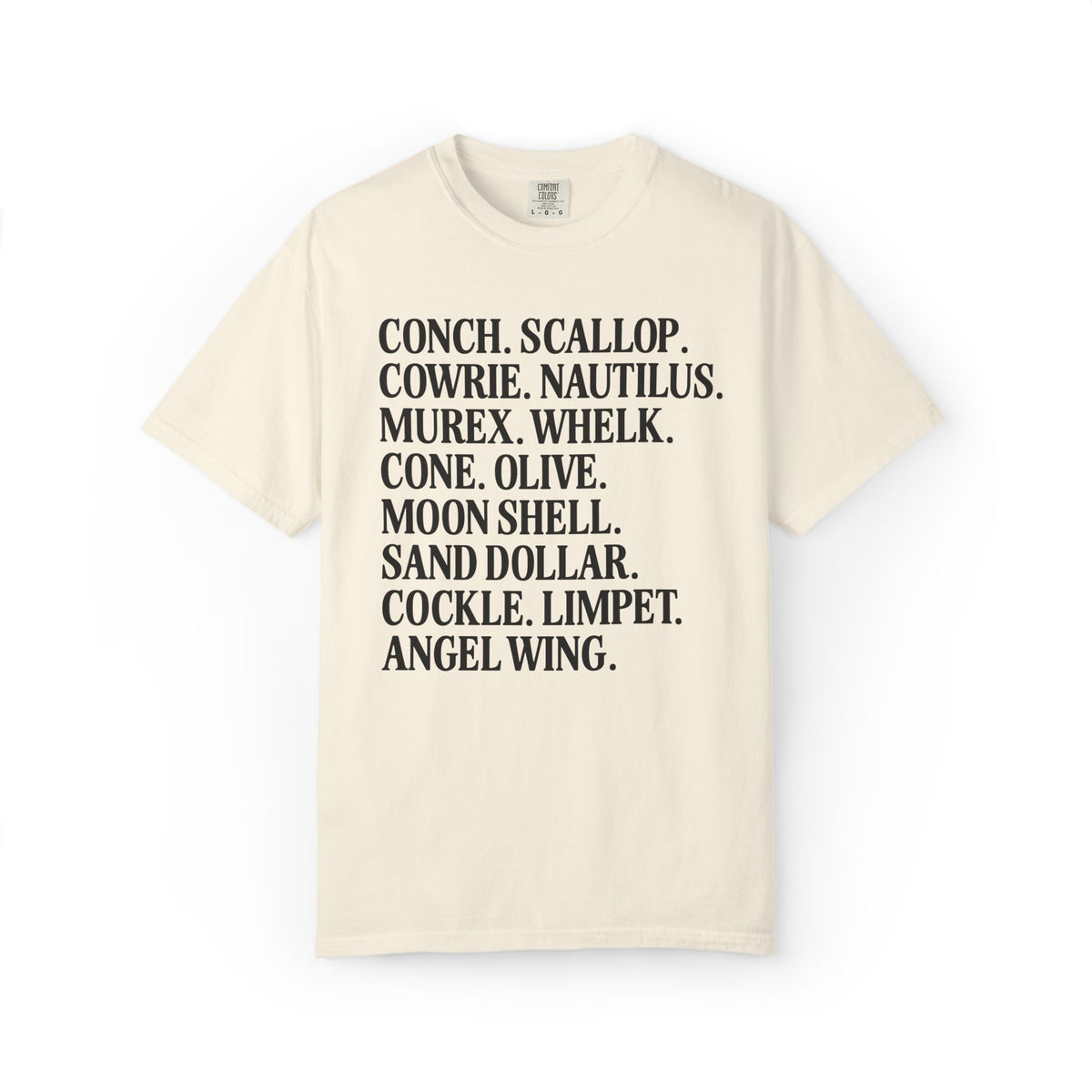 Seashell Name List