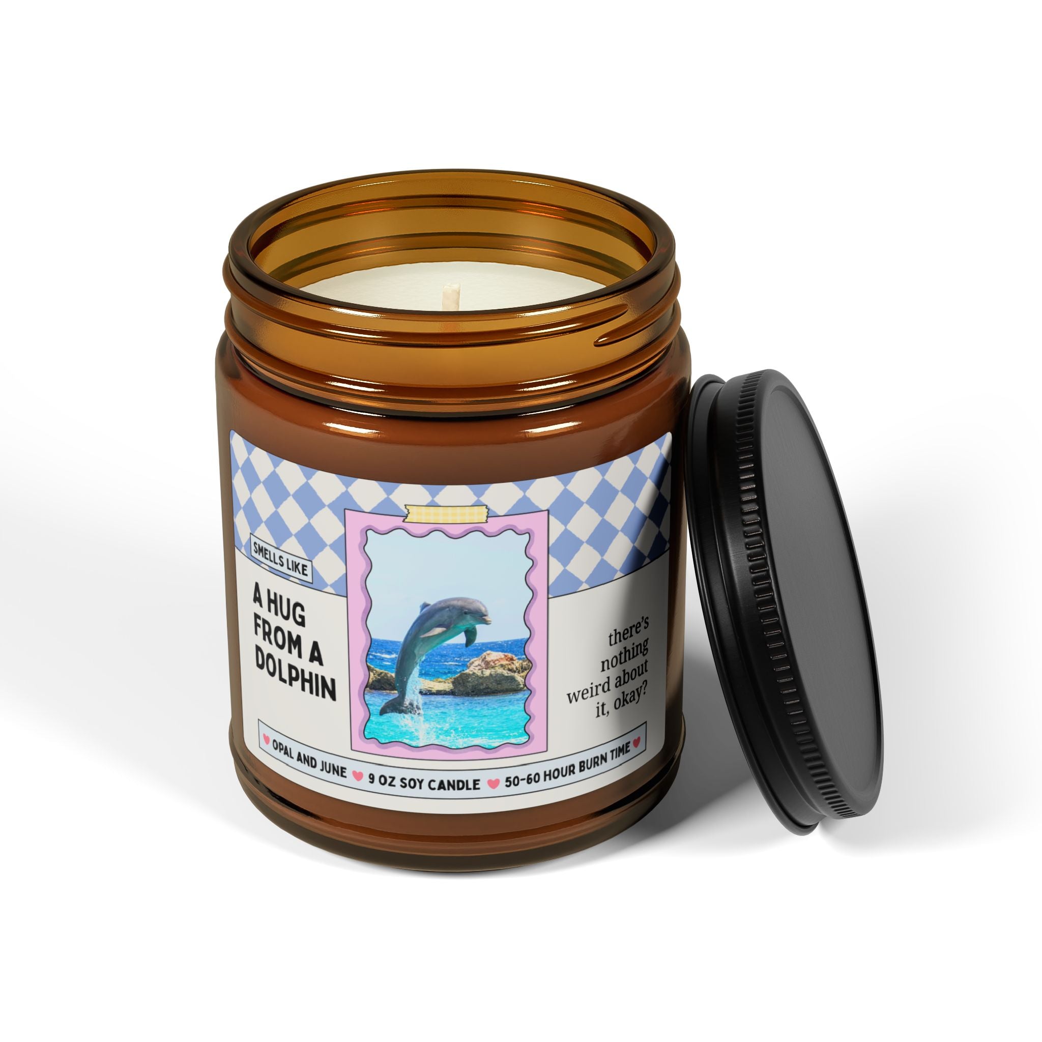 Smells Like A Hug From a Dolphin: 9 Oz Soy Candle for Animal Lover, Silly Unhinged Dolphin Lover Gift, Funny Friend Birthday Cruise Gift
