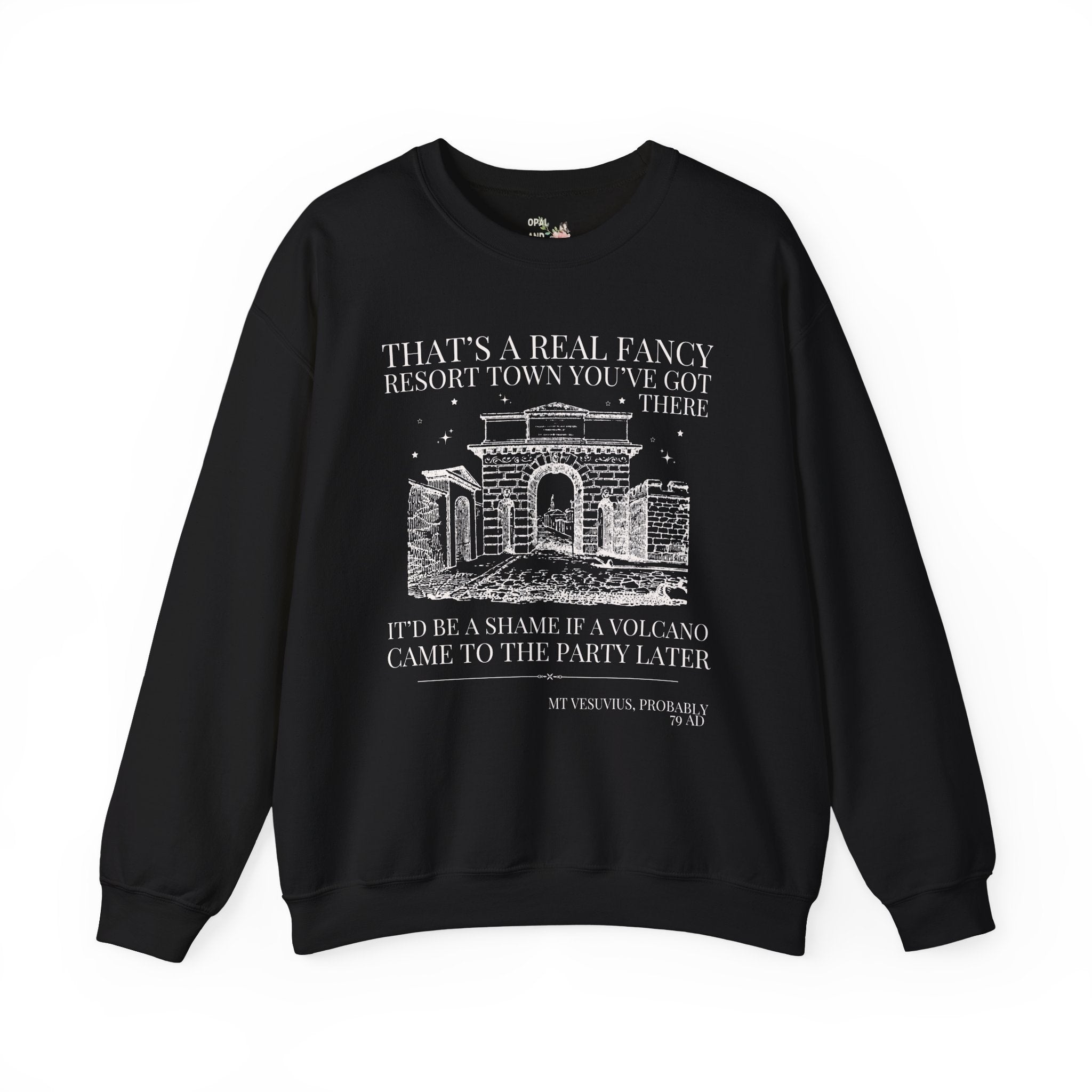 Ancient History Buff Sweatshirt: Roman History Funny Saying Pompeii Crewneck, Mt Vesuvius European History Shirt, Famous Historical Disaster