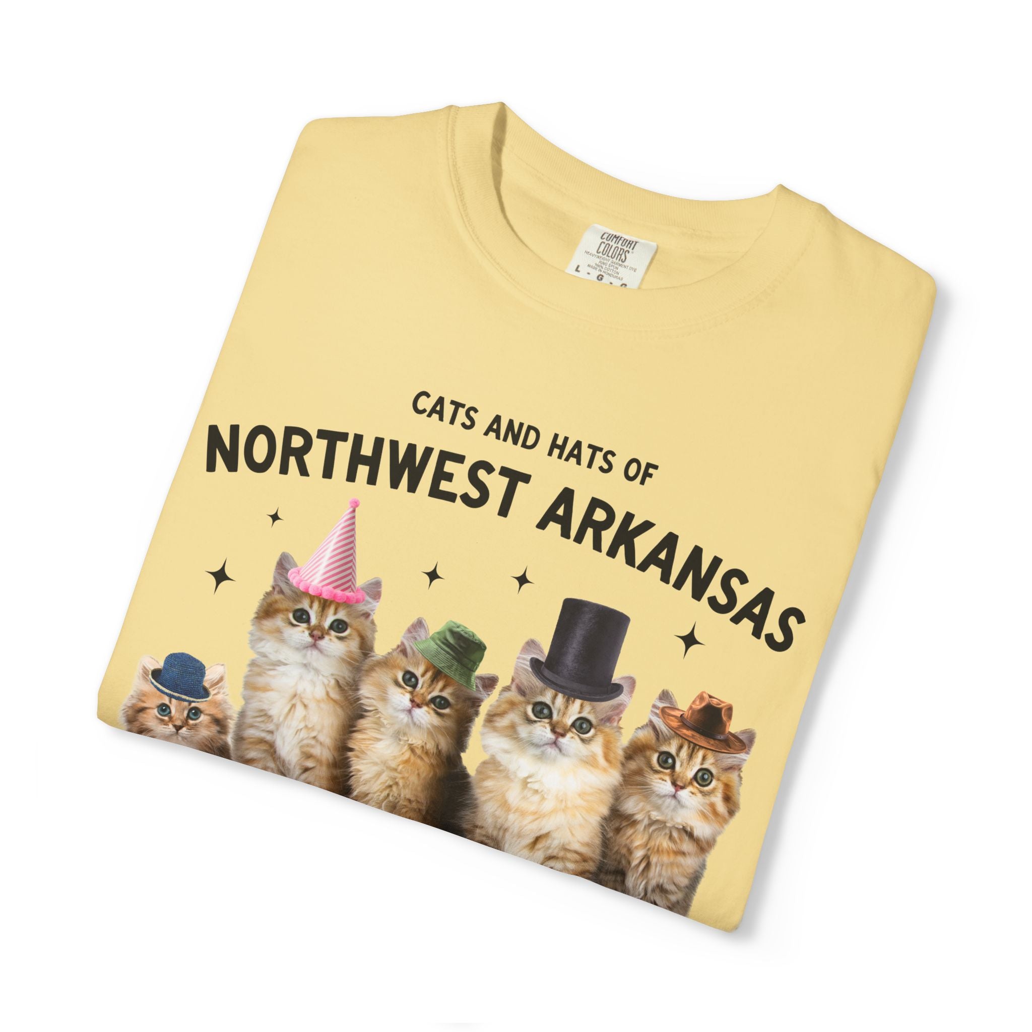 Cats and Hats of Northwest Arkansas: Funny Dreamcore Cat T-Shirt for Friend Living in Northwest Arkansas, Fayetteville Bentonville Rogers Eureka Springs Tee