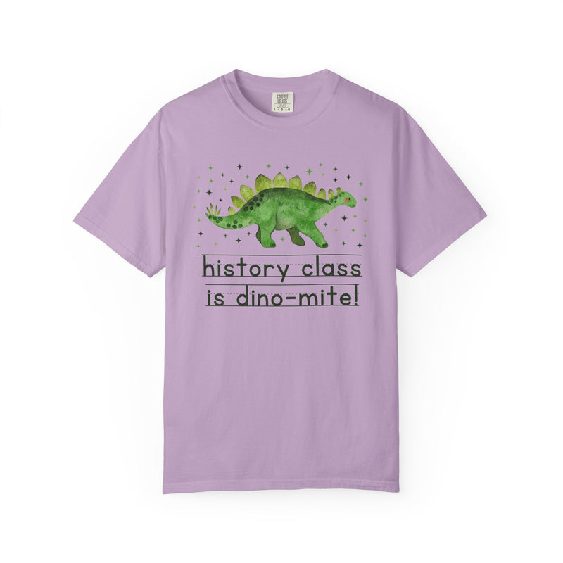 Dinosaur History Teacher Tee