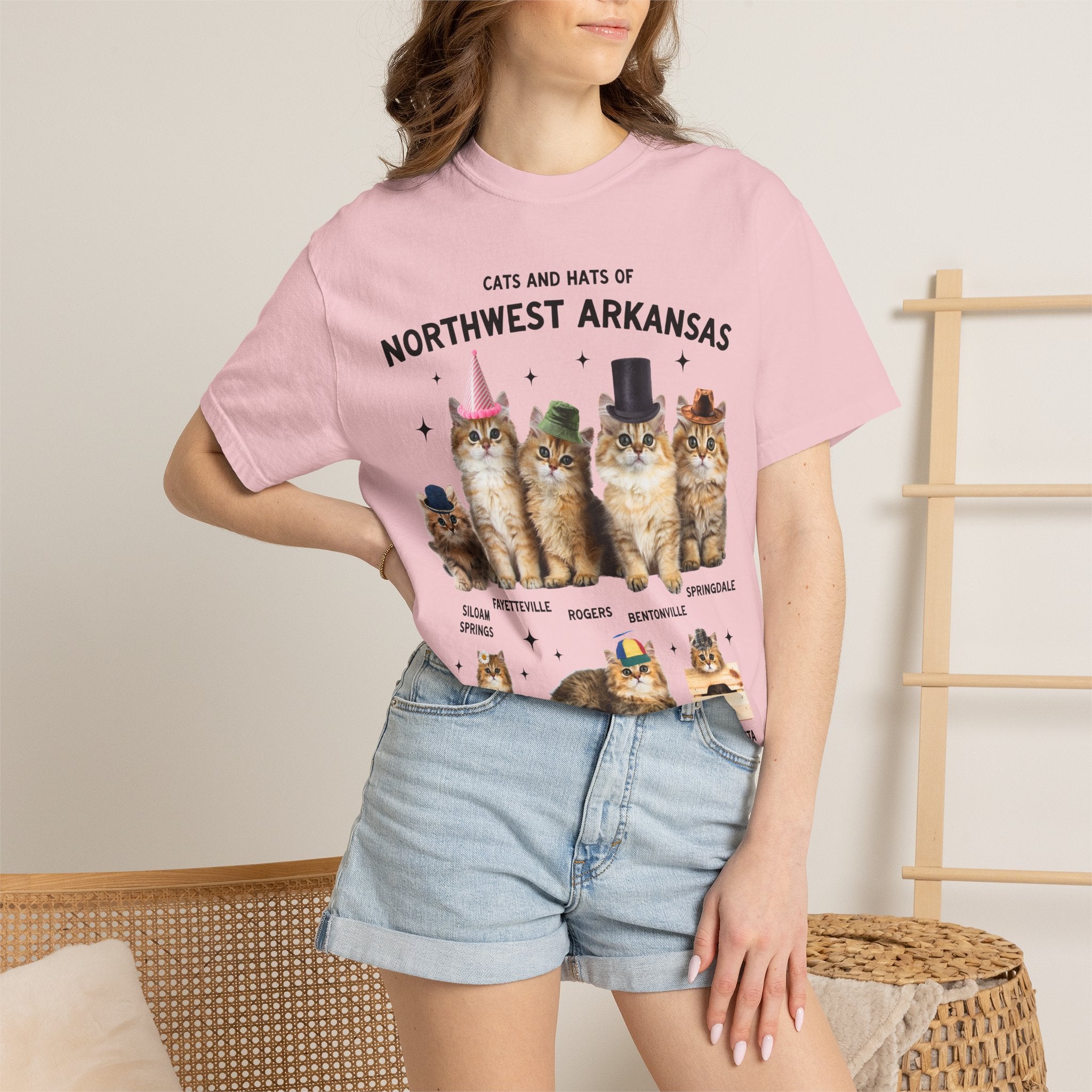 Cats and Hats of Northwest Arkansas: Funny Dreamcore Cat T-Shirt for Friend Living in Northwest Arkansas, Fayetteville Bentonville Rogers Eureka Springs Tee