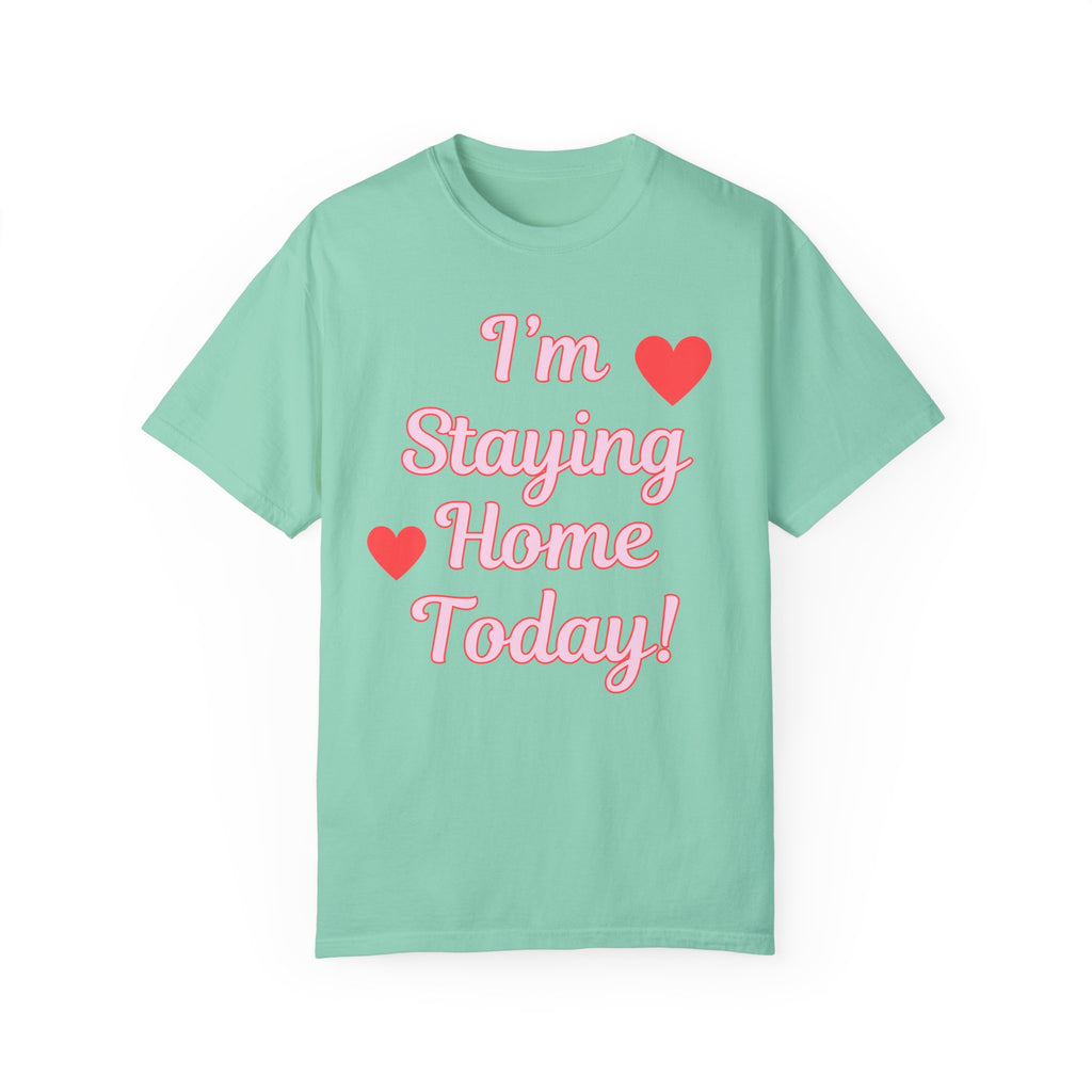 Funny Homebody Tee Shirt