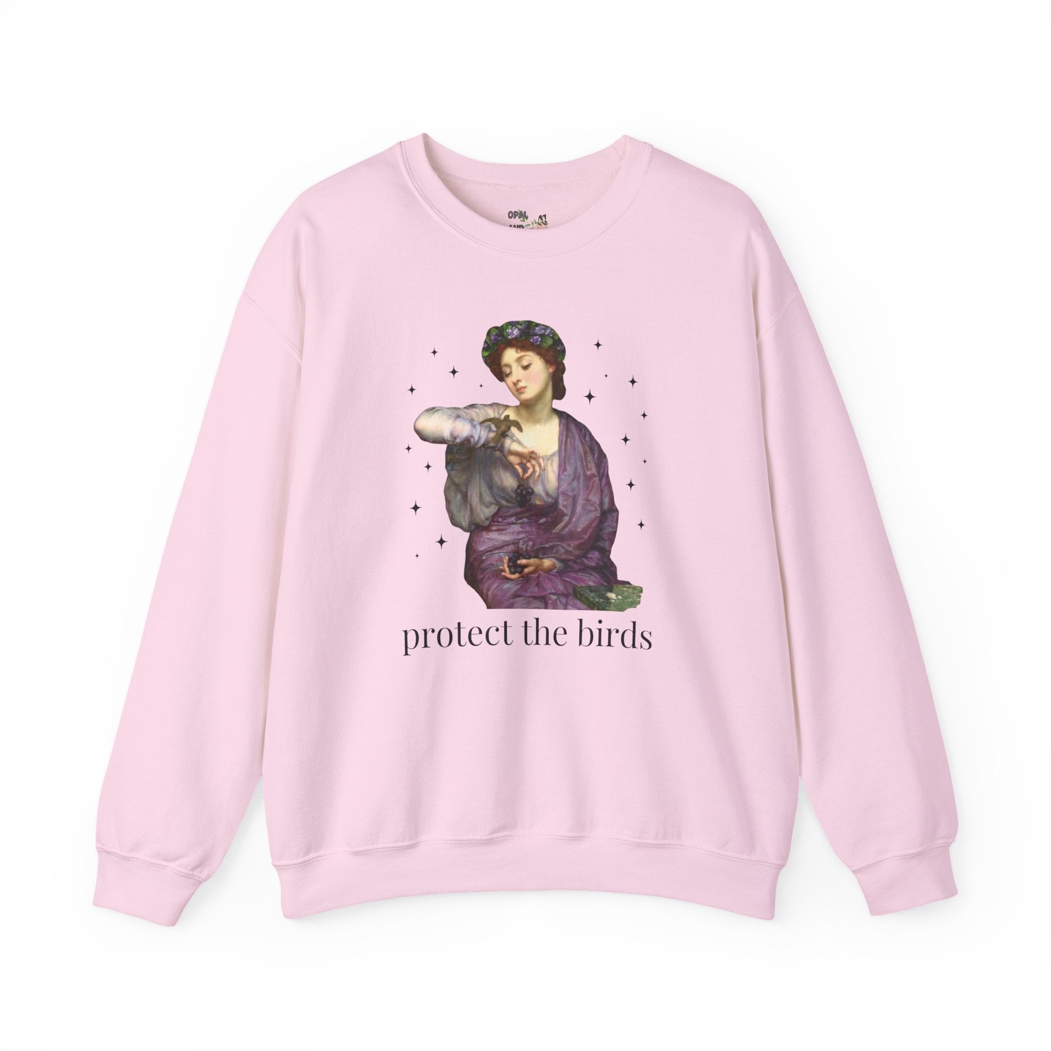 Protect the Birds Art History Sweatshirt with Famous Painting: Bird Conservation Ornithologist Biology Major or Teacher Gift, Bird Lover Crewneck