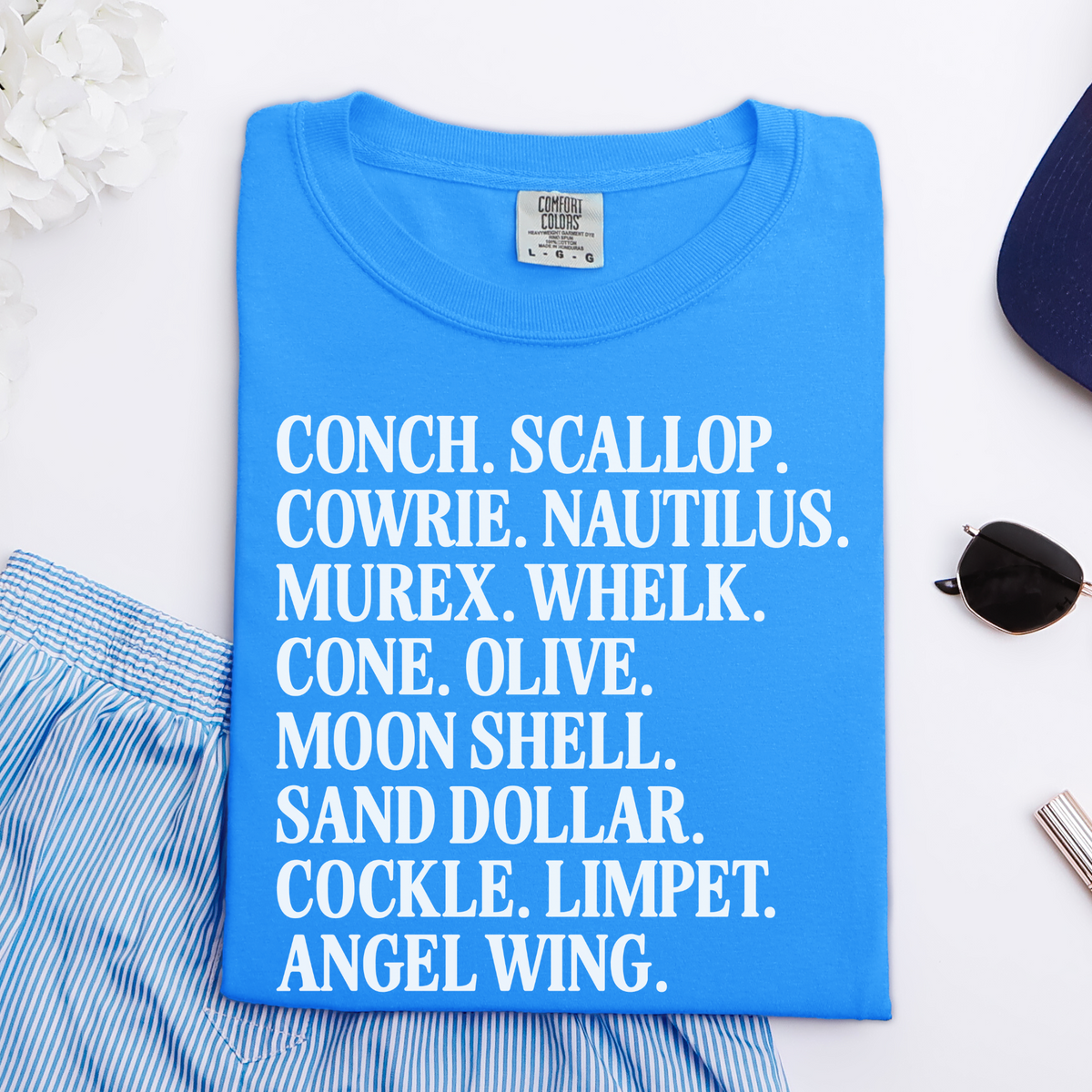Seashell Name List