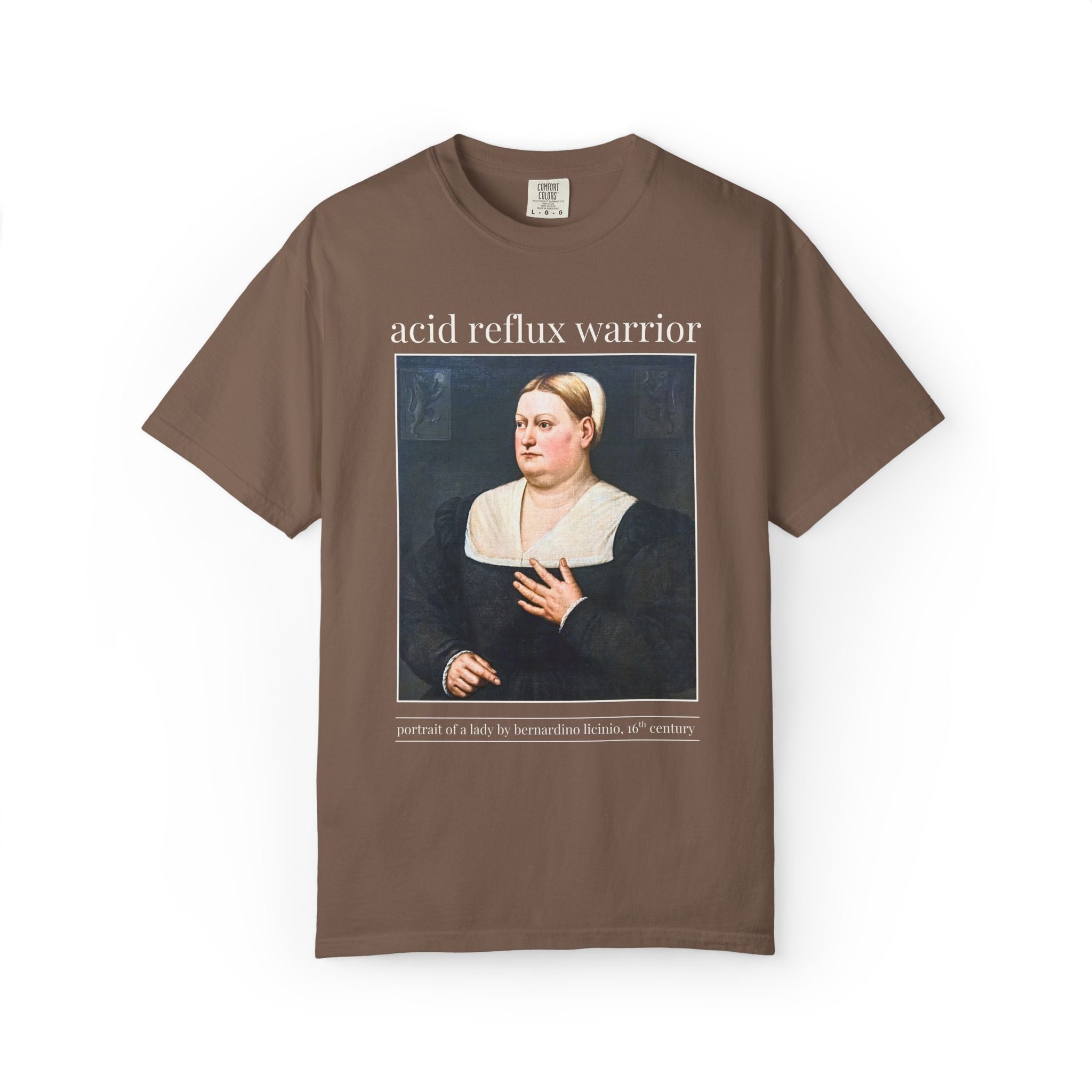 Acid Reflux Warrior Art History Tee Shirt for Friend or Sister with GERD or Tummy Troubles, Silly Chronic Illness Humanites Professor Tee - Opal and June