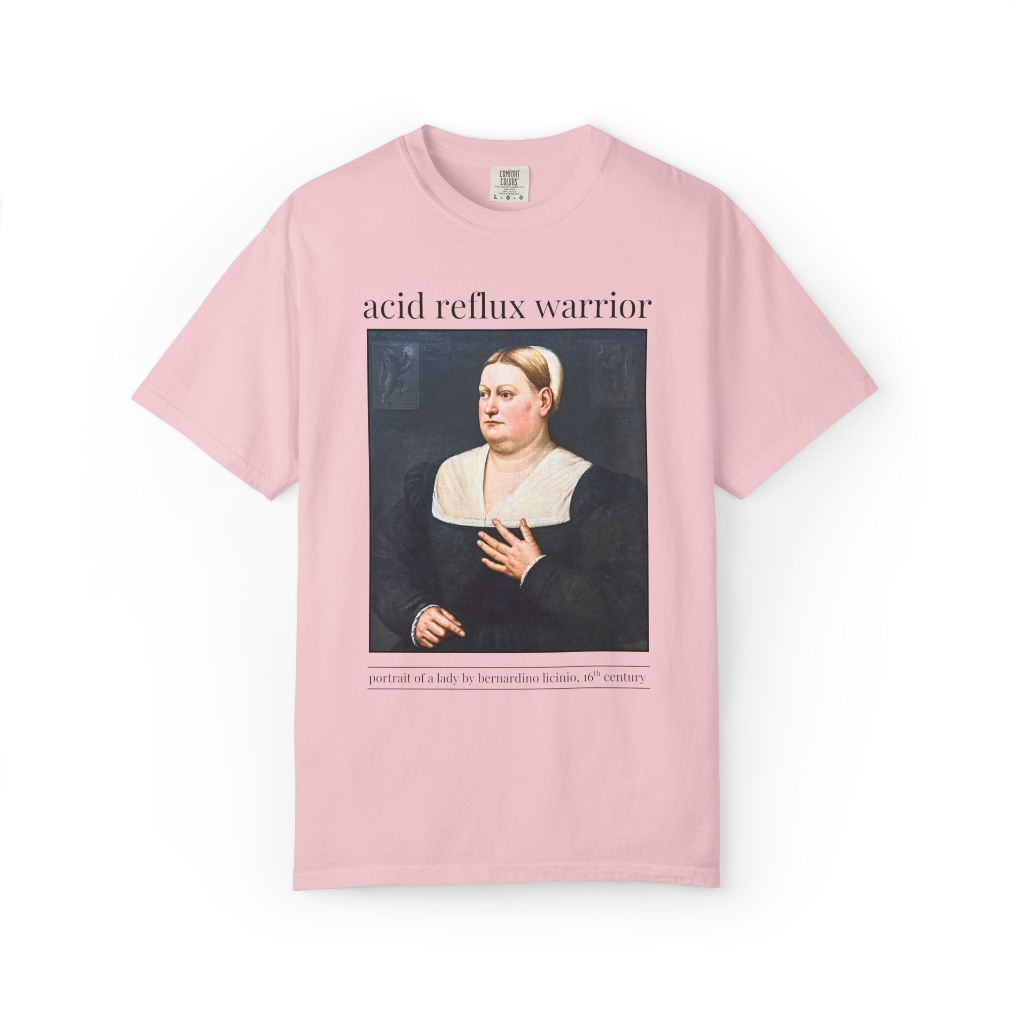 Acid Reflux Warrior Art History Tee Shirt for Friend or Sister with GERD or Tummy Troubles, Silly Chronic Illness Humanites Professor Tee - Opal and June