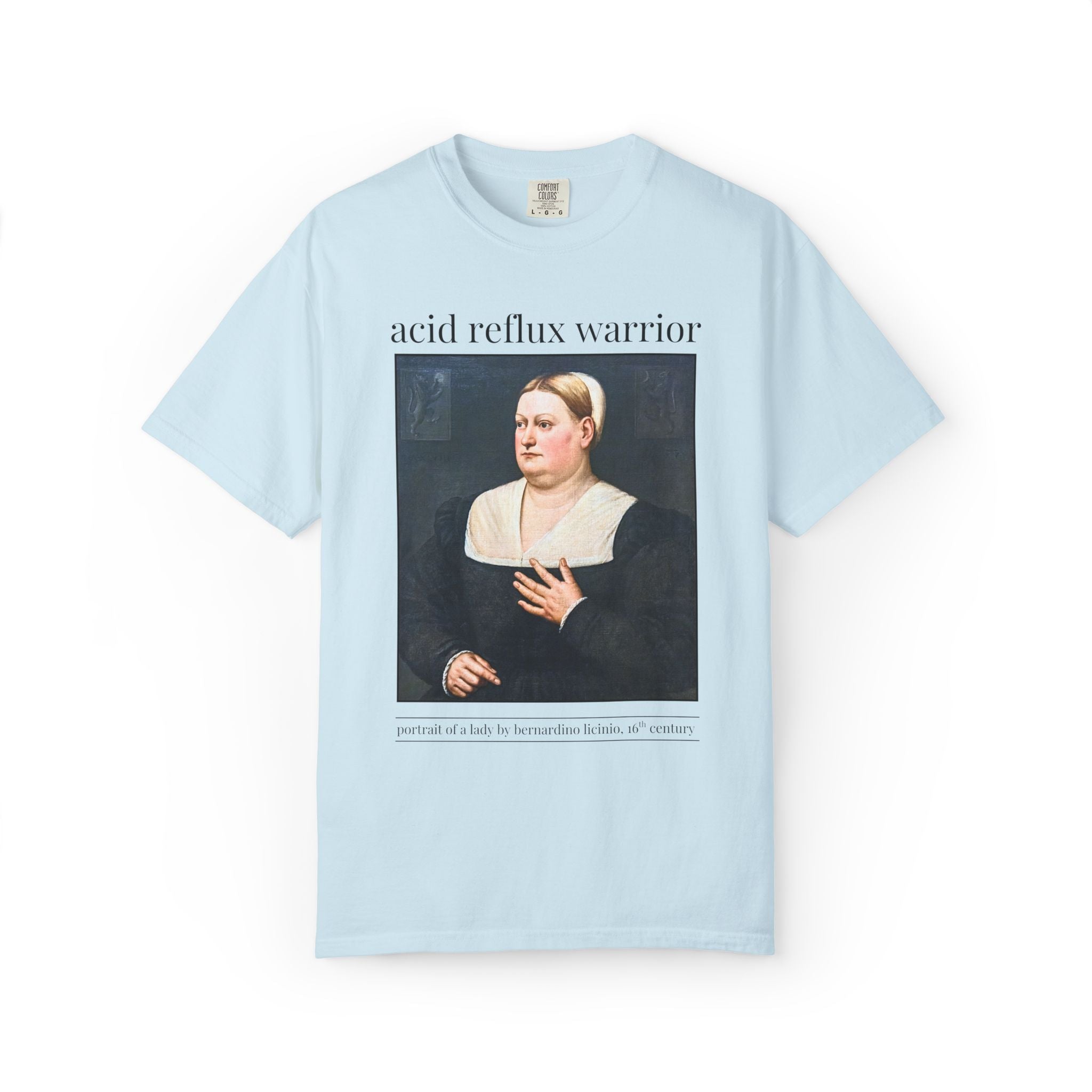 Acid Reflux Warrior Art History Tee Shirt for Friend or Sister with GERD or Tummy Troubles, Silly Chronic Illness Humanites Professor Tee - Opal and June