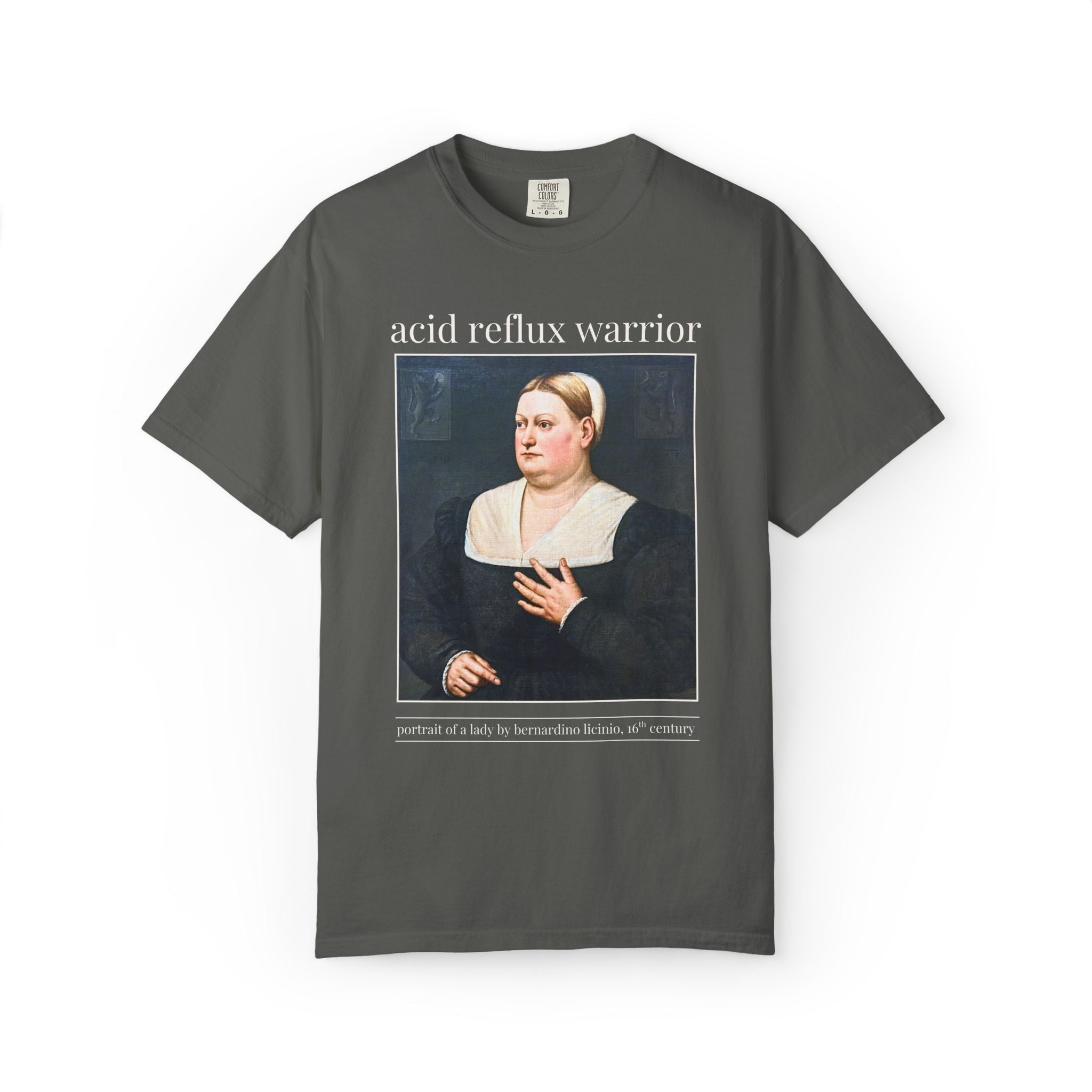 Acid Reflux Warrior Art History Tee Shirt for Friend or Sister with GERD or Tummy Troubles, Silly Chronic Illness Humanites Professor Tee - Opal and June