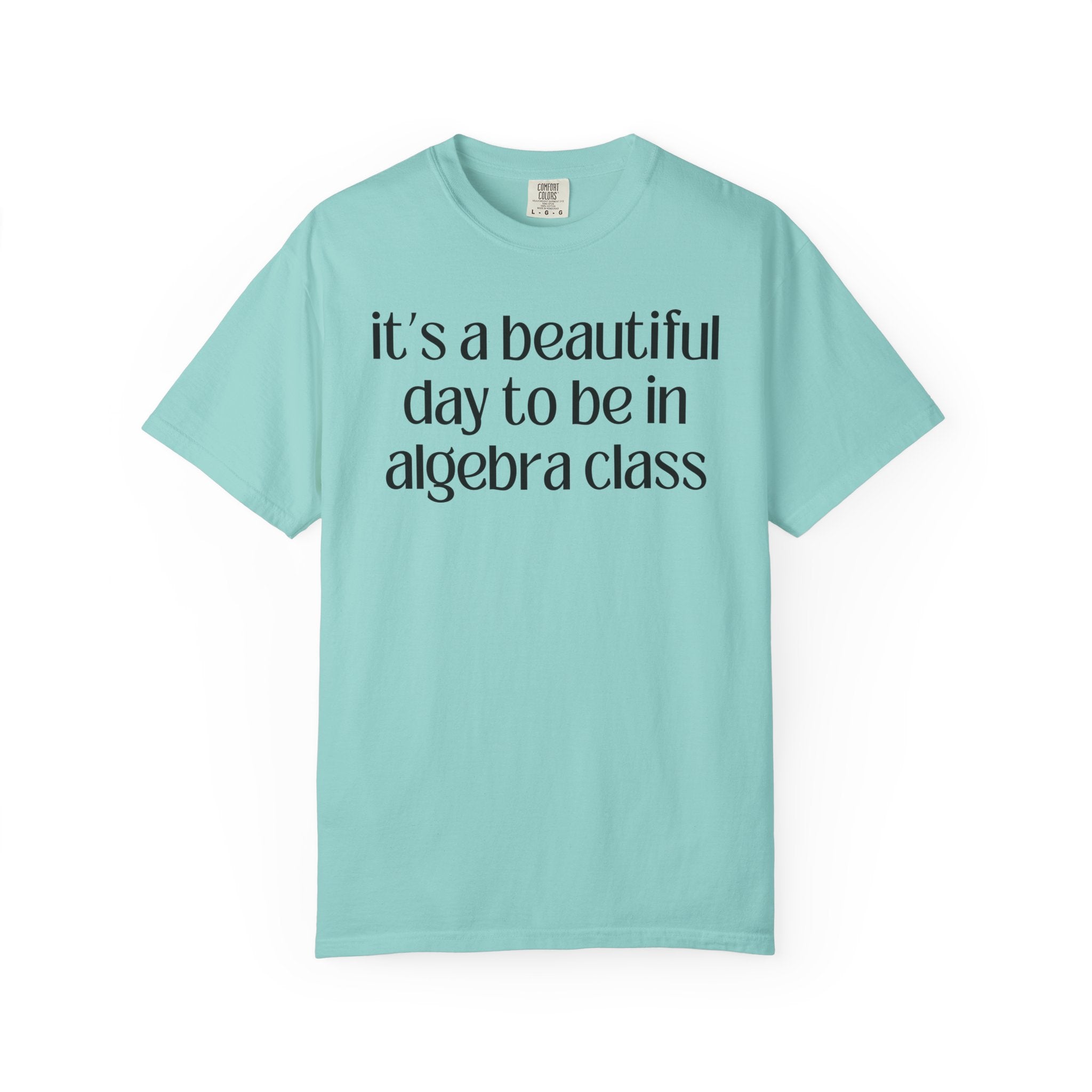 Algebra Teacher T-Shirt - Opal and June