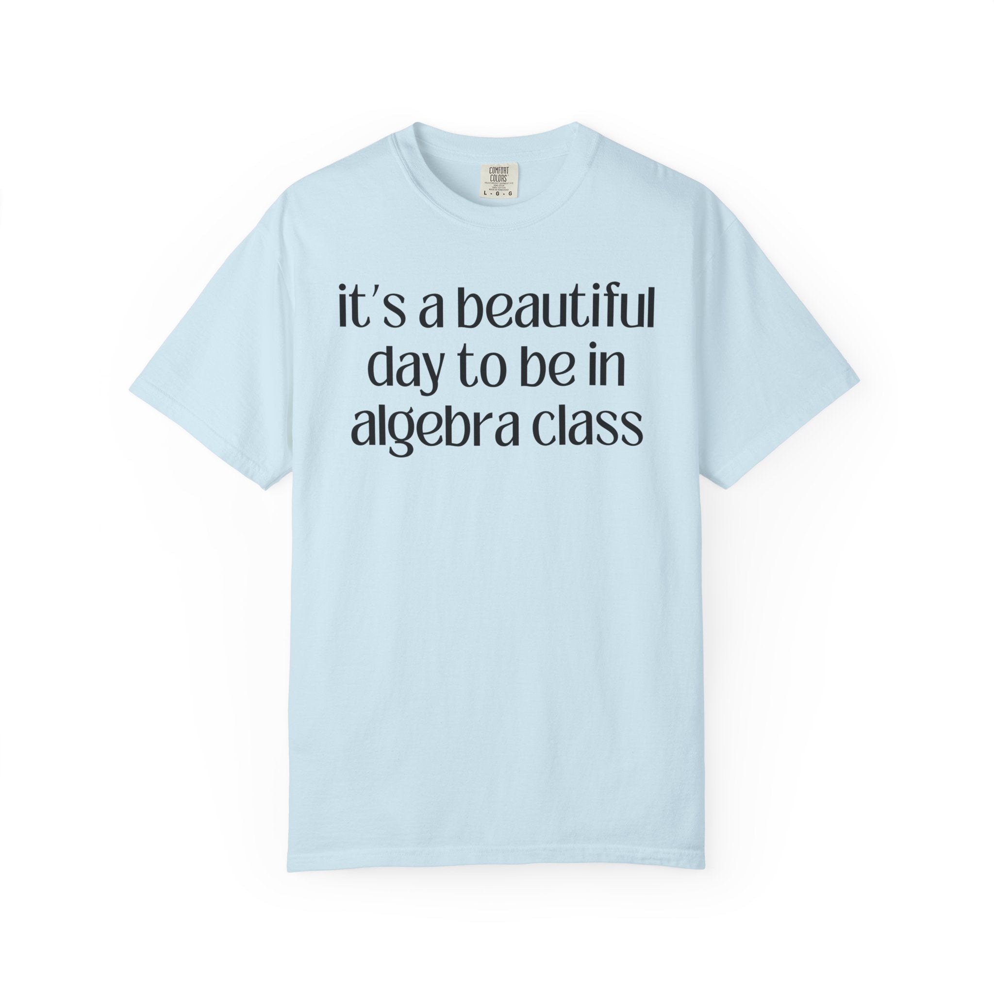 Algebra Teacher T-Shirt - Opal and June