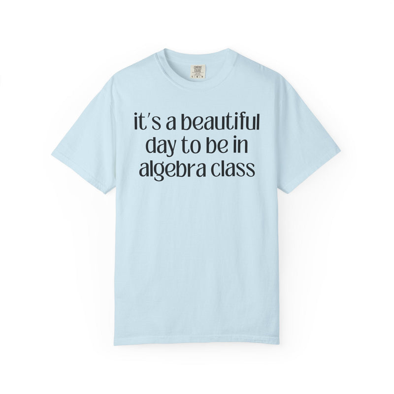 Algebra Teacher T-Shirt - Opal and June