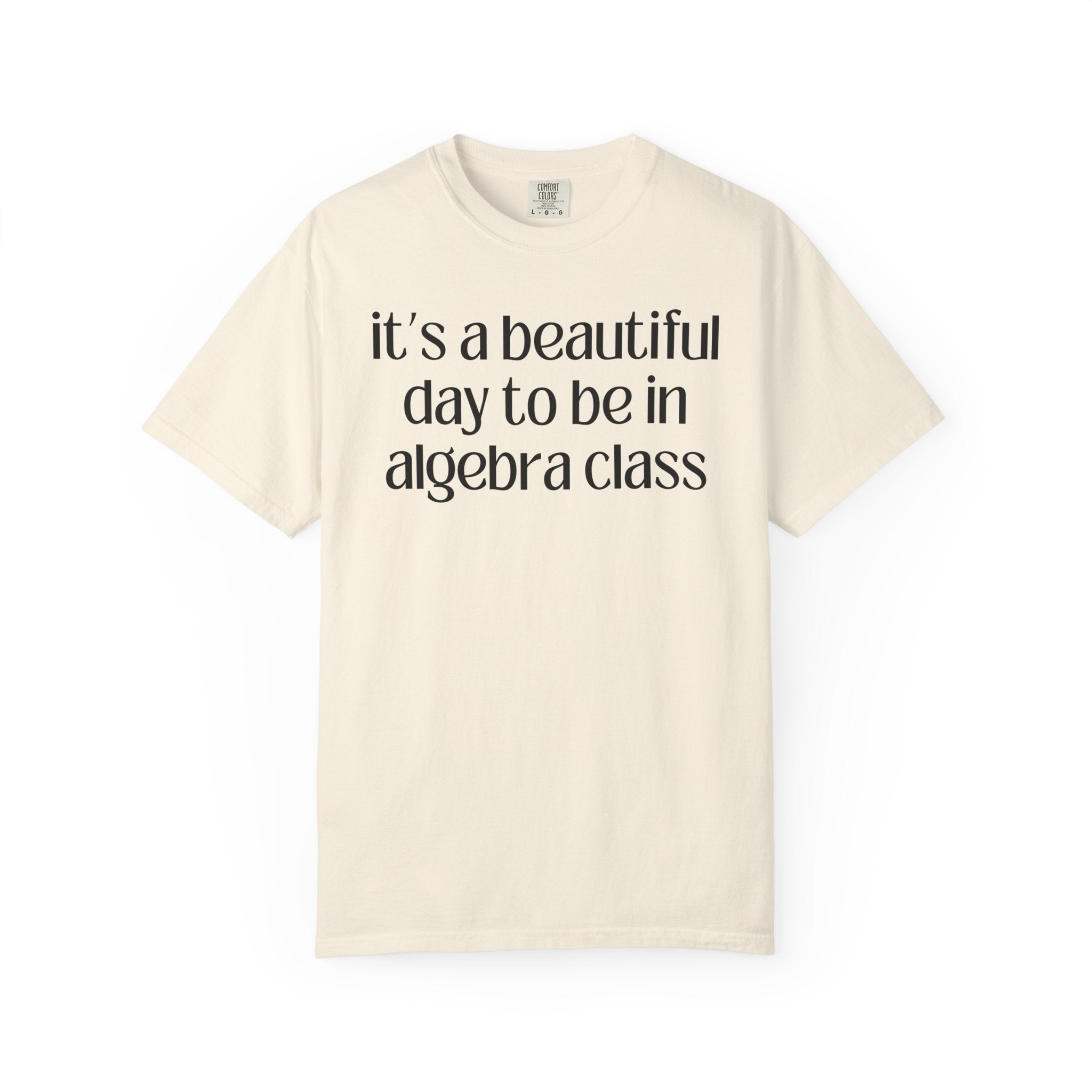 Algebra Teacher T-Shirt - Opal and June