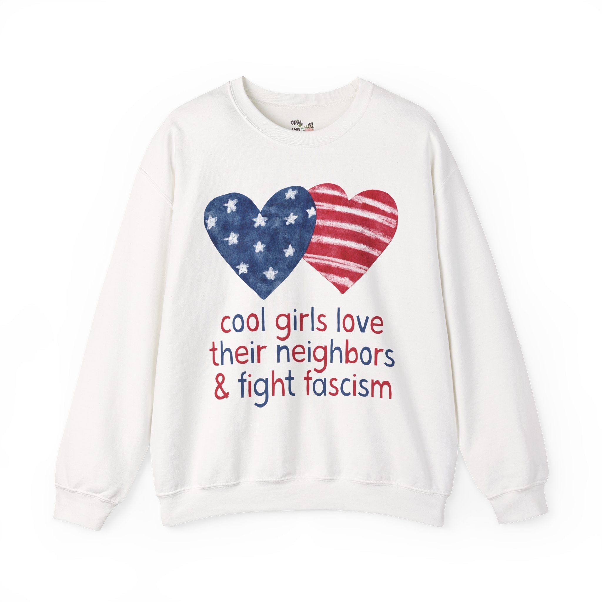 Anti Fascist Fourth of July Sweatshirt, Women's Equal Rights Tee: Cool Girls Love Their Neighbors and Fight Fascism, Democratic Leftist Crewneck - Opal and June