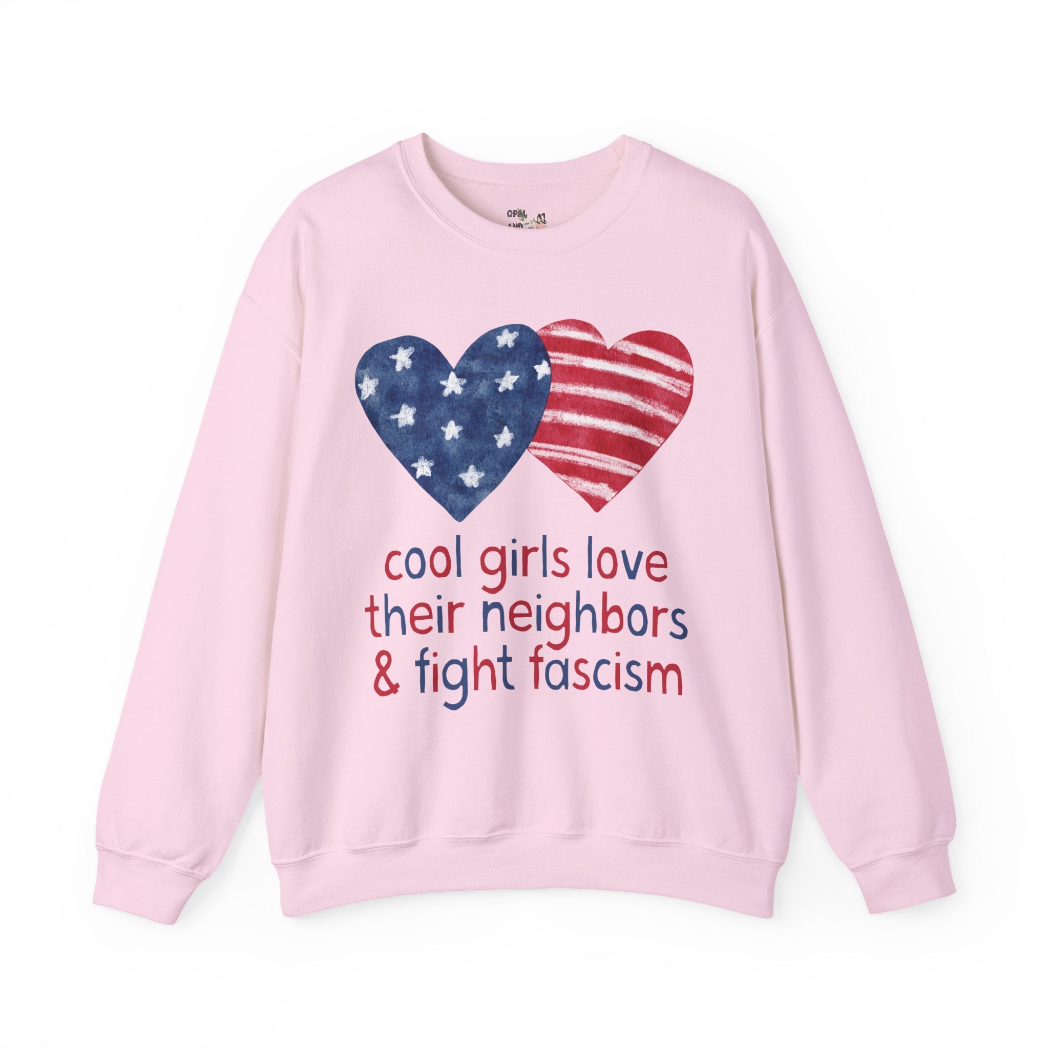 Anti Fascist Fourth of July Sweatshirt, Women's Equal Rights Tee: Cool Girls Love Their Neighbors and Fight Fascism, Democratic Leftist Crewneck - Opal and June
