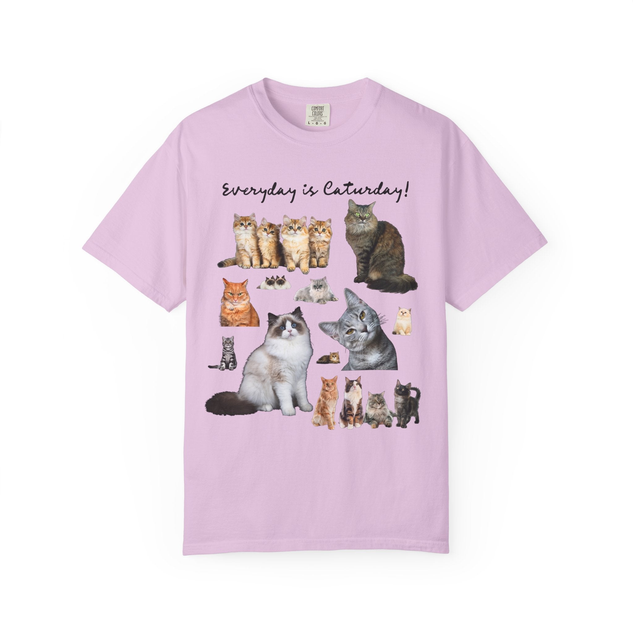 Cat Lover T-Shirt with Photos of Kittens and Cats, Silly Cat Mom or Cat Dad T-Shirt for Cat Owner or Friend Getting a Kitten for Birthday - Opal and June