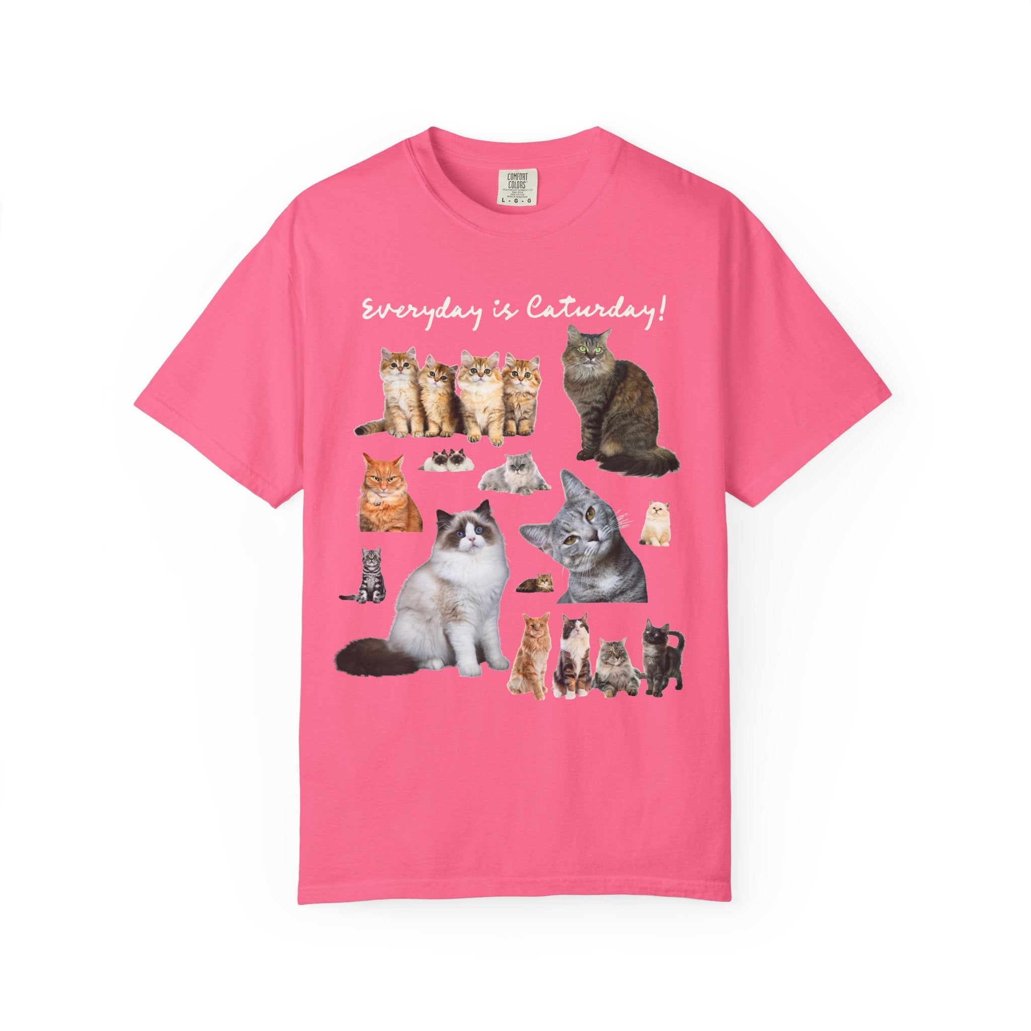 Cat Lover T-Shirt with Photos of Kittens and Cats, Silly Cat Mom or Cat Dad T-Shirt for Cat Owner or Friend Getting a Kitten for Birthday - Opal and June