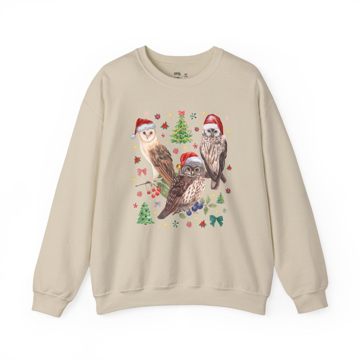 Christmas Owl Animal Lover Sweatshirt with Owls Wearing Santa Hats, Funny Nostalgic 90s Aesthetic Maximalist Crewneck, Bird Lover or Birdwatcher - Opal and June