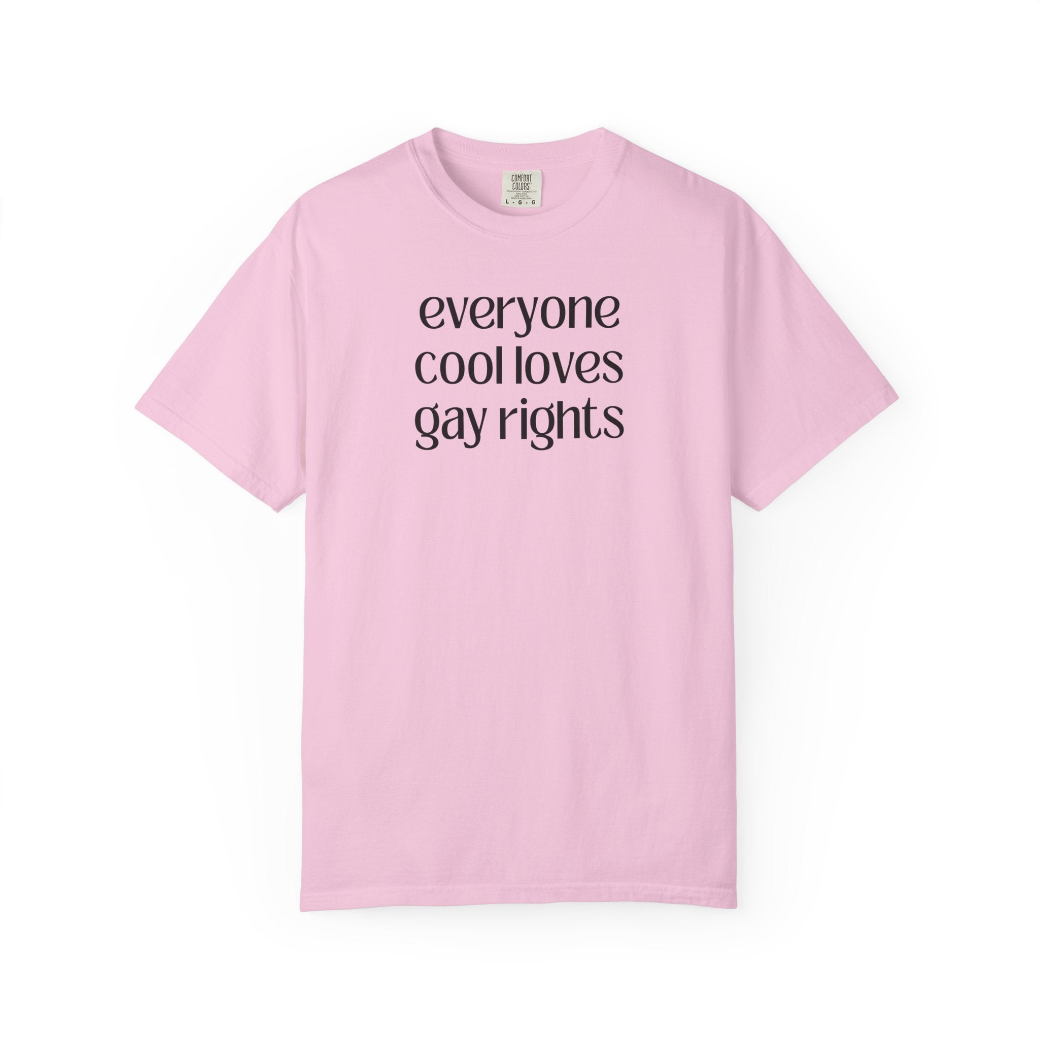 Cute Gay Rights Tee Shirt: Everyone Cool Loves Gay Rights, Funny Saying LGBTQ+ Ally Shirt, Silly and Minimal Tee for Lesbian, Pride Month - Opal and June
