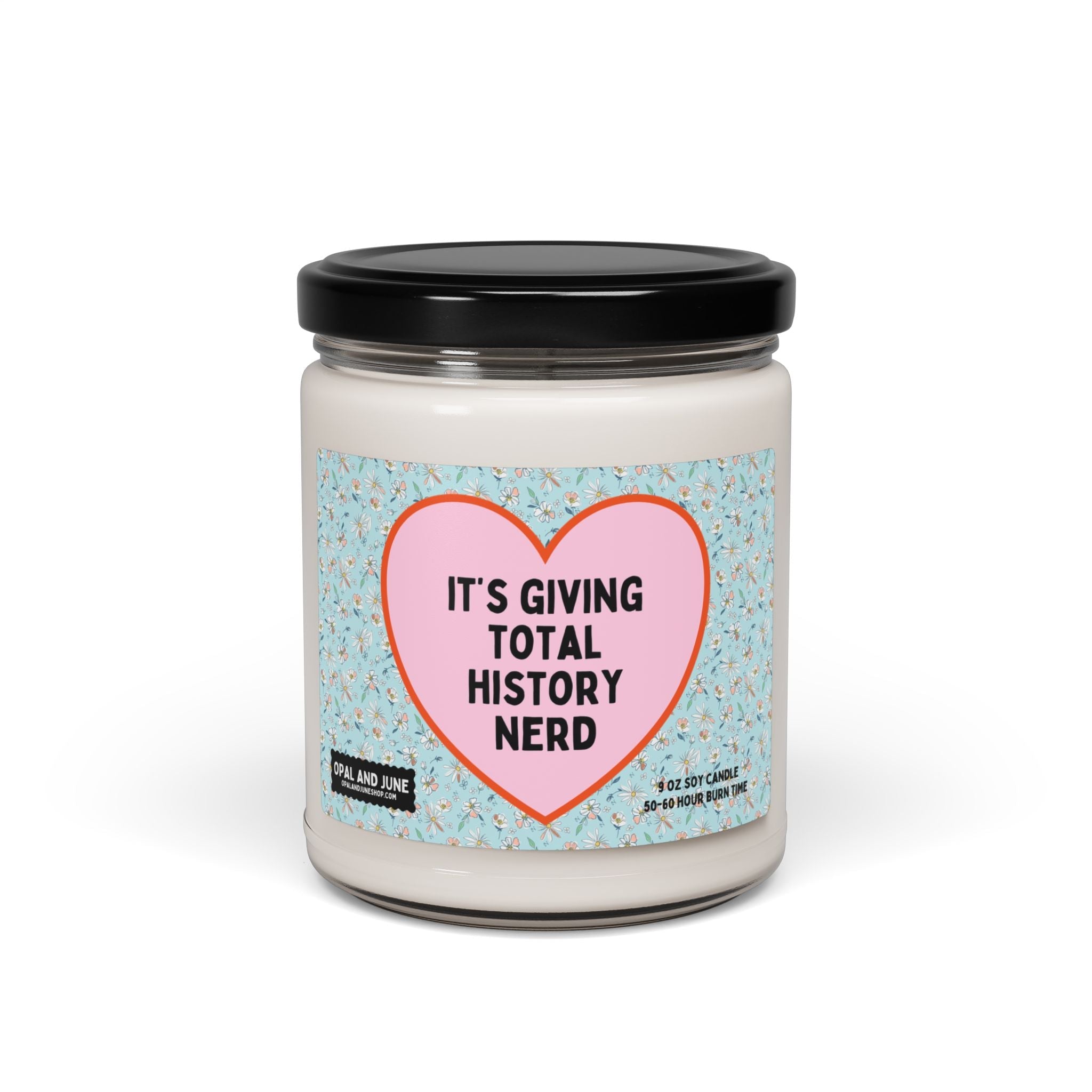 Cute History Teacher Candle: 9 Oz Soy Candle for Friend Who Loves History, Silly Cottagecore Gift for Mom Studying History, Social Studies - Opal and June