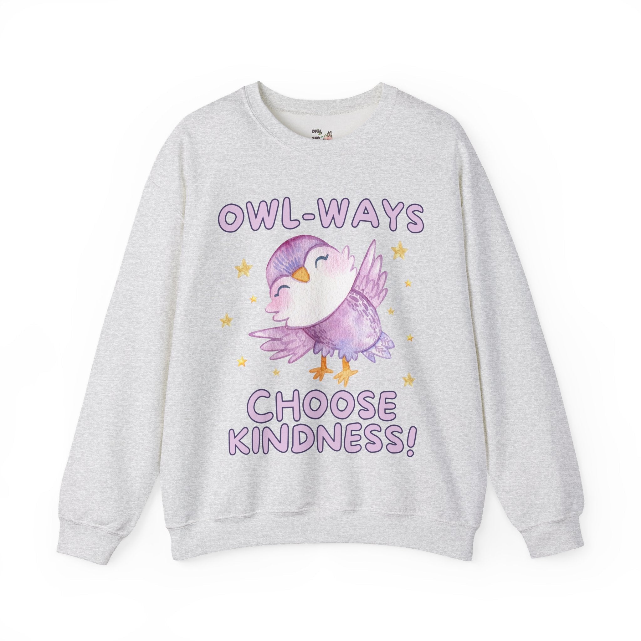 Cute School Teacher, School Librarian Sweatshirt for Friend Who Loves Owls: Owl-Ways Choose Kindness! Positive Affirmation Gift for Teacher - Opal and June