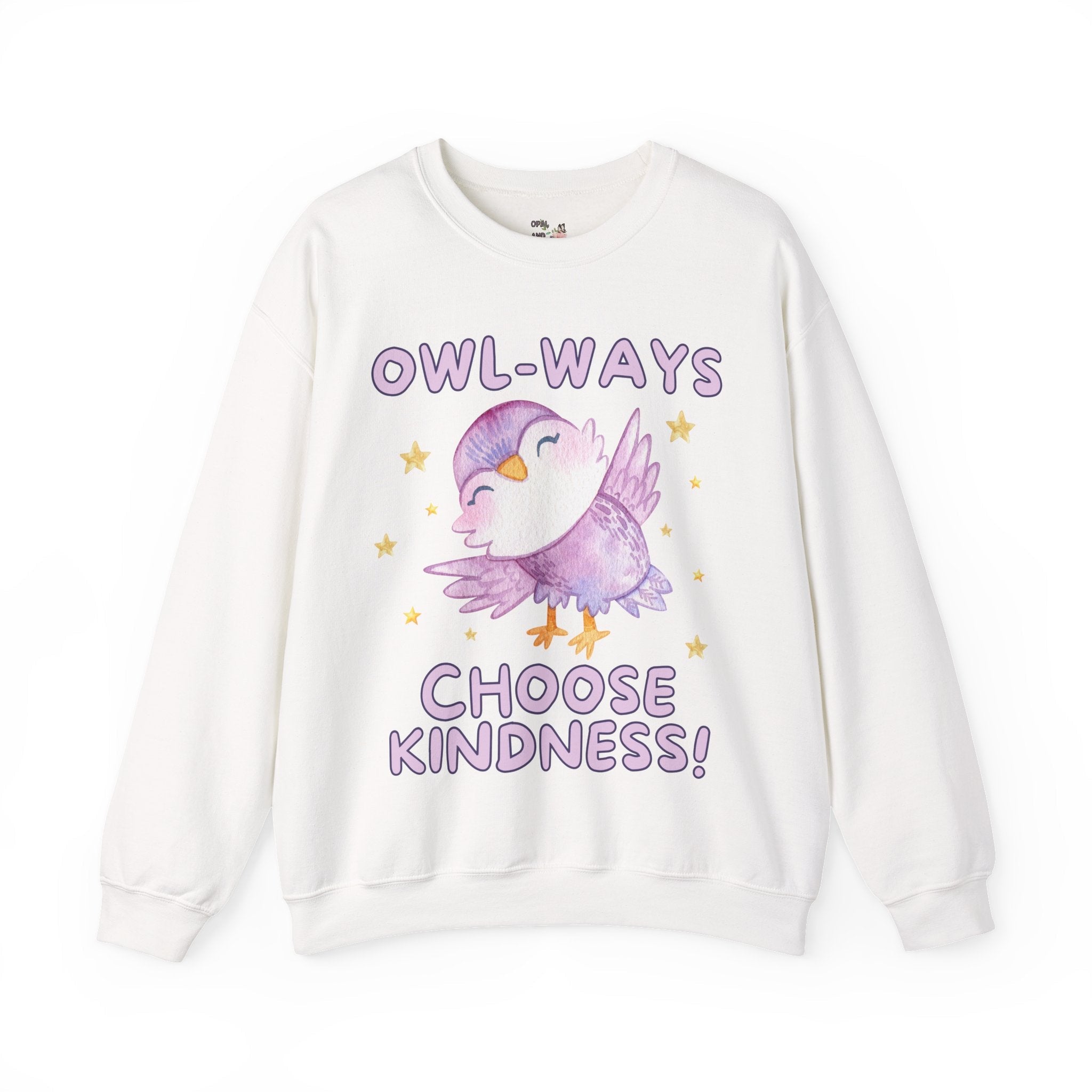 Cute School Teacher, School Librarian Sweatshirt for Friend Who Loves Owls: Owl-Ways Choose Kindness! Positive Affirmation Gift for Teacher - Opal and June
