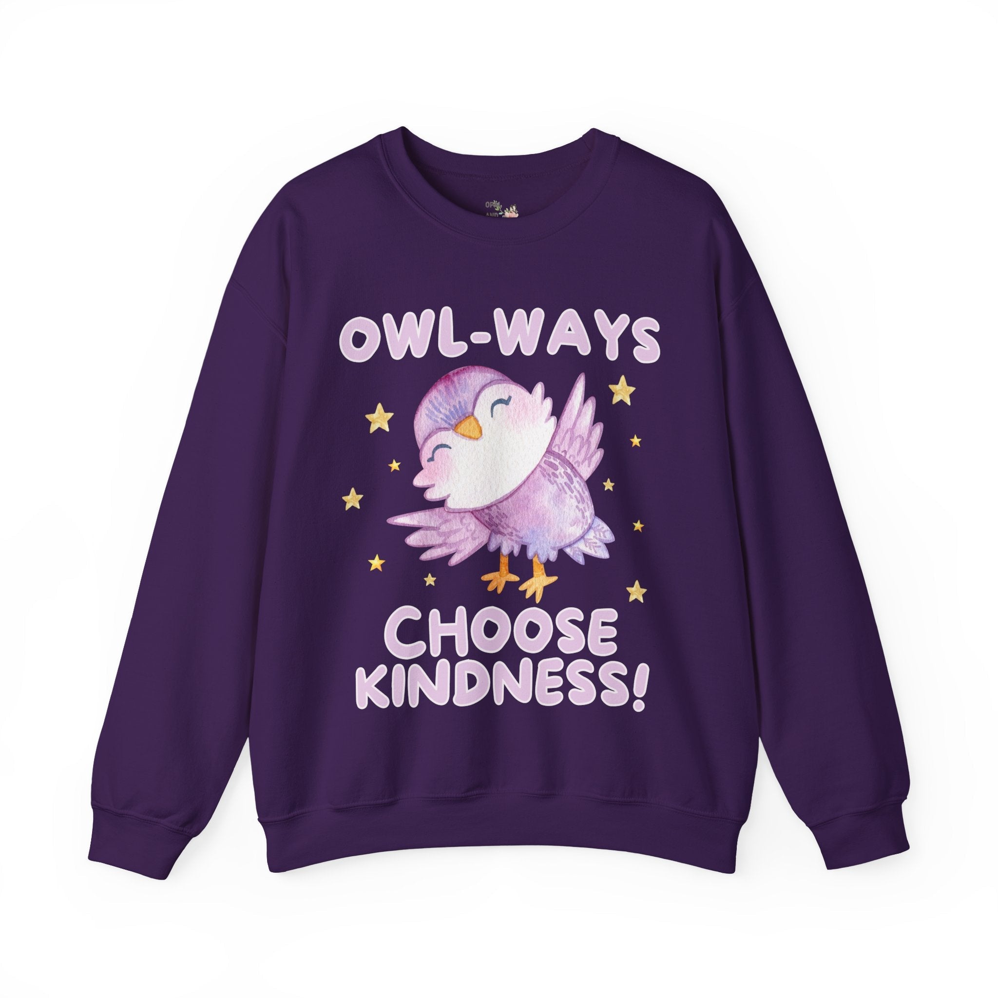 Cute School Teacher, School Librarian Sweatshirt for Friend Who Loves Owls: Owl-Ways Choose Kindness! Positive Affirmation Gift for Teacher - Opal and June