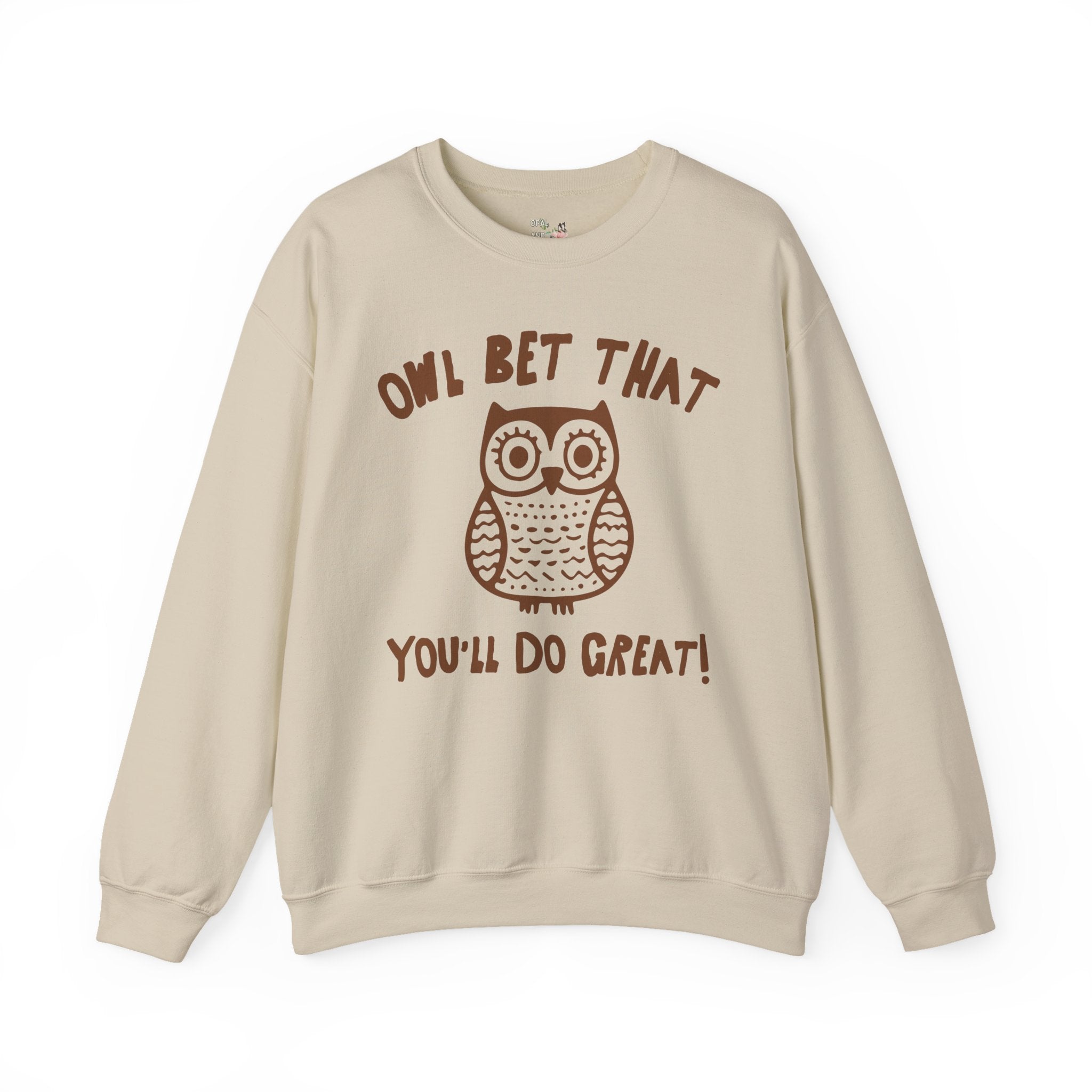 Cute Testing Day Crewneck for Fourth Grade Teacher Who Loves Owls: Funny Saying Animal Lover Sweatshirt, Matching Second Grade Crew Shirt - Opal and June