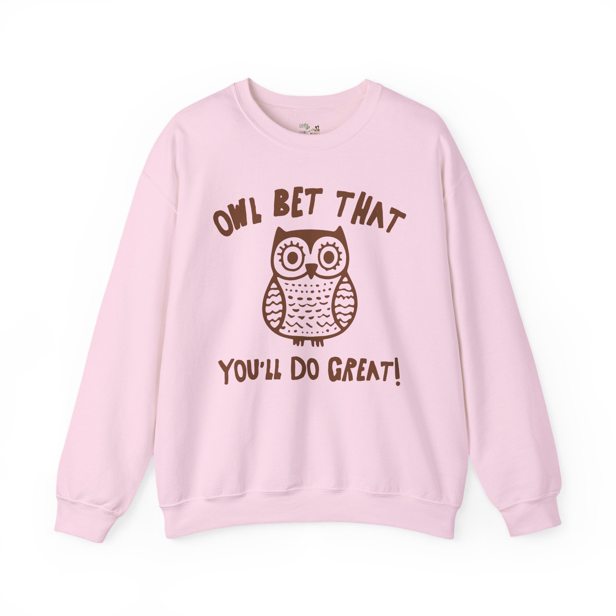 Cute Testing Day Crewneck for Fourth Grade Teacher Who Loves Owls: Funny Saying Animal Lover Sweatshirt, Matching Second Grade Crew Shirt - Opal and June