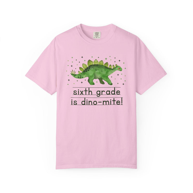Dinosaur Sixth Grade Teacher Tee Shirt for Back to School, Funny and Adorable 90s Aesthetic Dinosaur Lover T-Shirt for Second Grade Squad - Opal and June