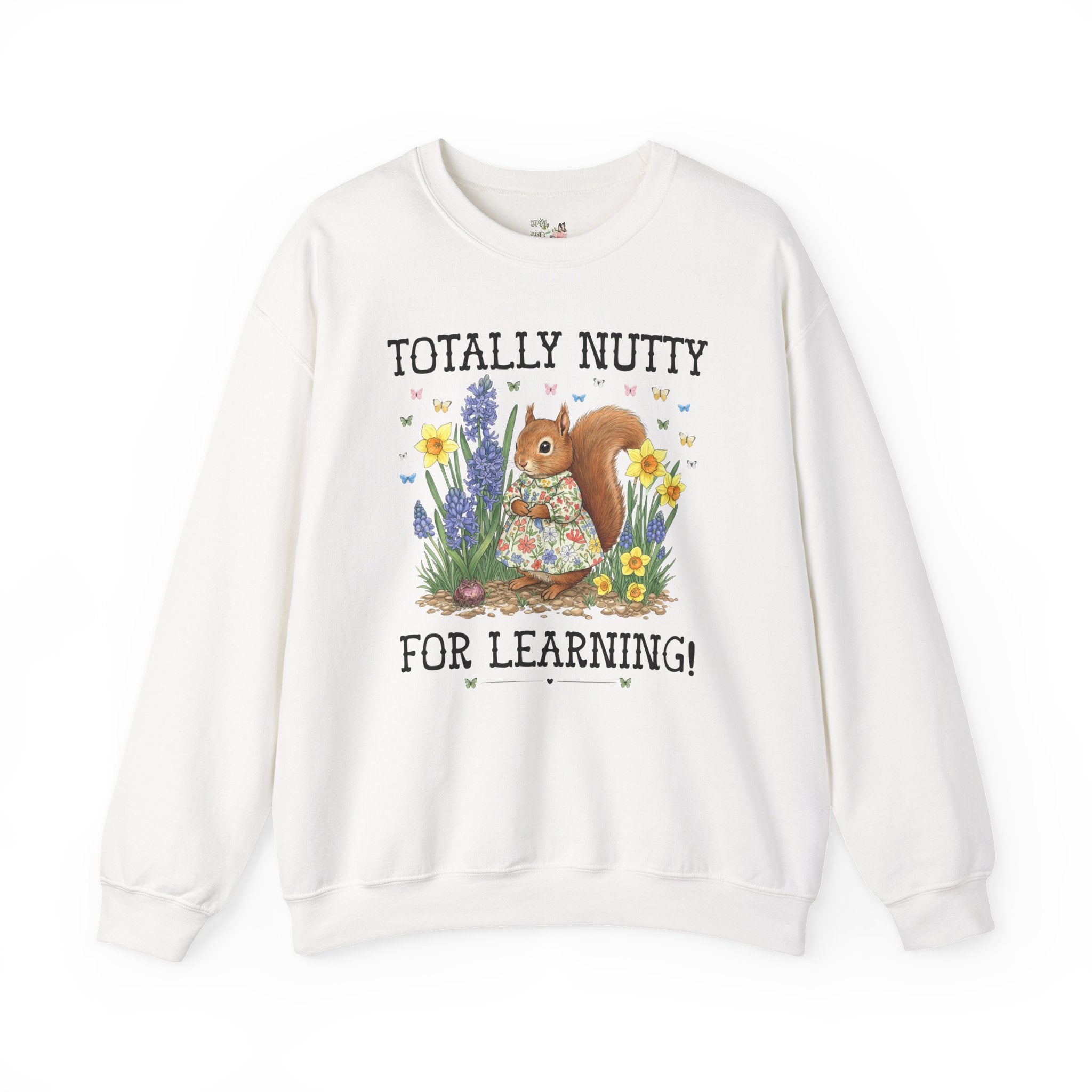 Elementary School Teacher Sweatshirt or Funny High School Teacher Shirt: Silly Squirrel Animal Lover Tee for 1st Grade or Kindergarten Team - Opal and June