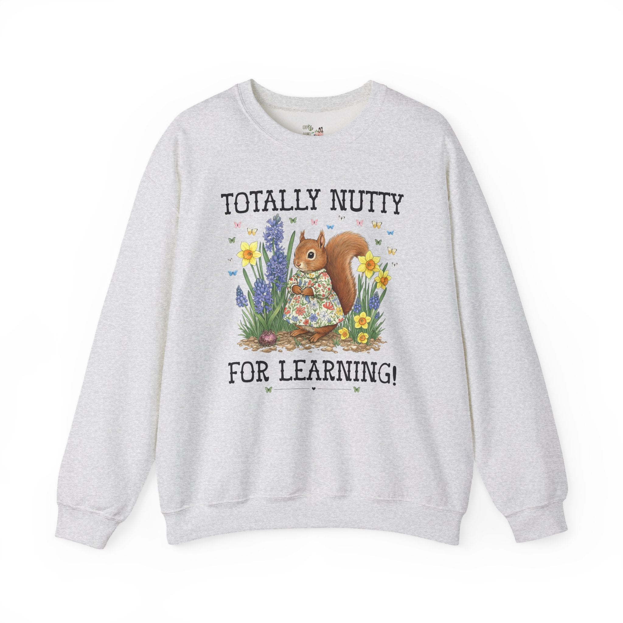 Elementary School Teacher Sweatshirt or Funny High School Teacher Shirt: Silly Squirrel Animal Lover Tee for 1st Grade or Kindergarten Team - Opal and June